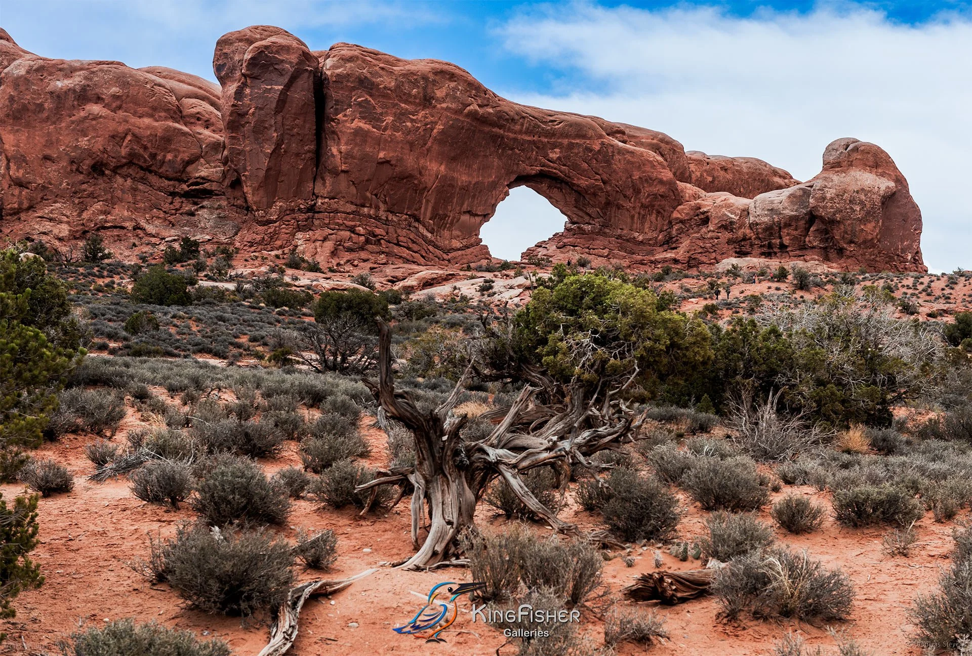 011_DST_Arches_NP_UT_USA_2012_L.jpg