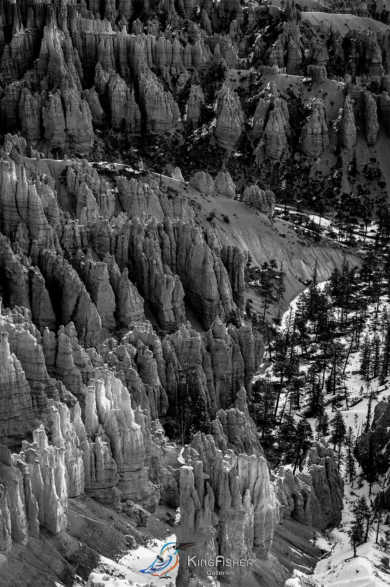026_DST_Bryce_Canyon_NP_UT_USA_2012_P_BW.jpg