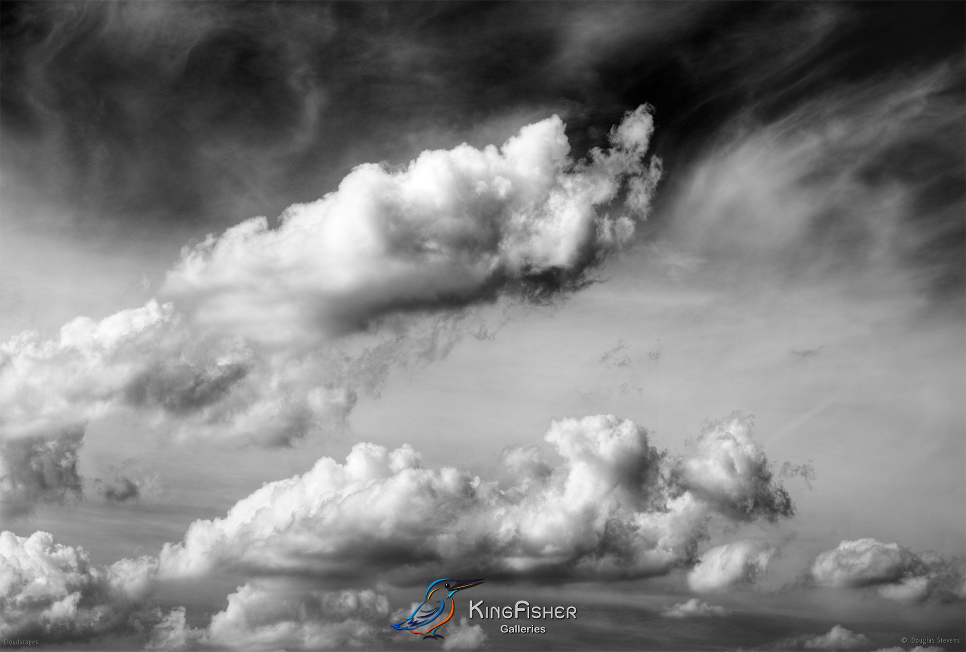 028_DST_Cloudscapes_2010_L_BW.jpg