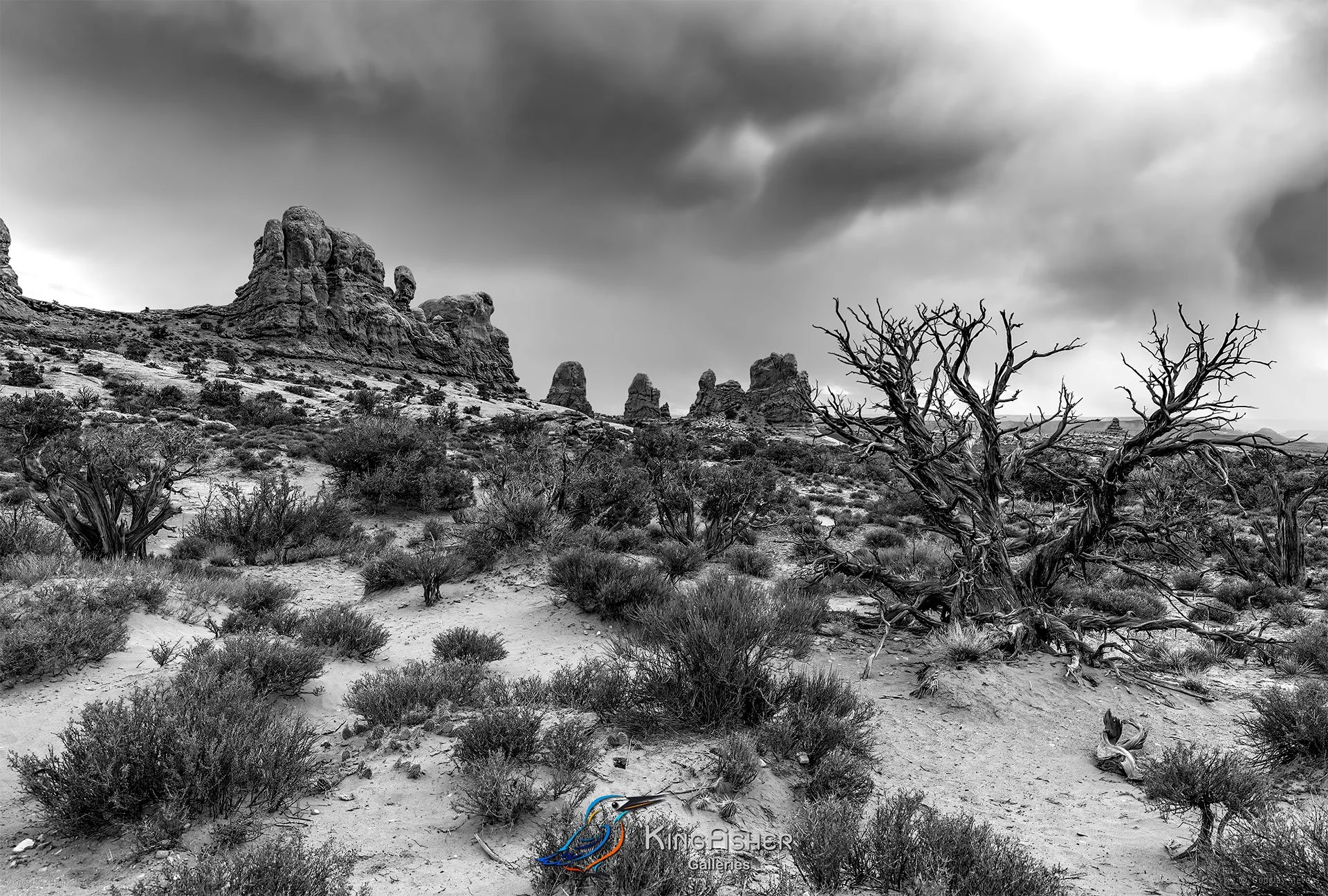 030_DST_Arches_NP_UT_USA_2012_L_BW.jpg
