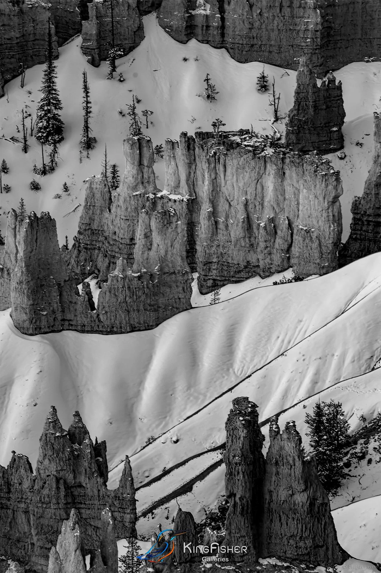 004_DST_Bryce_Canyon_NP_UT_USA_2012_P_BW.jpg