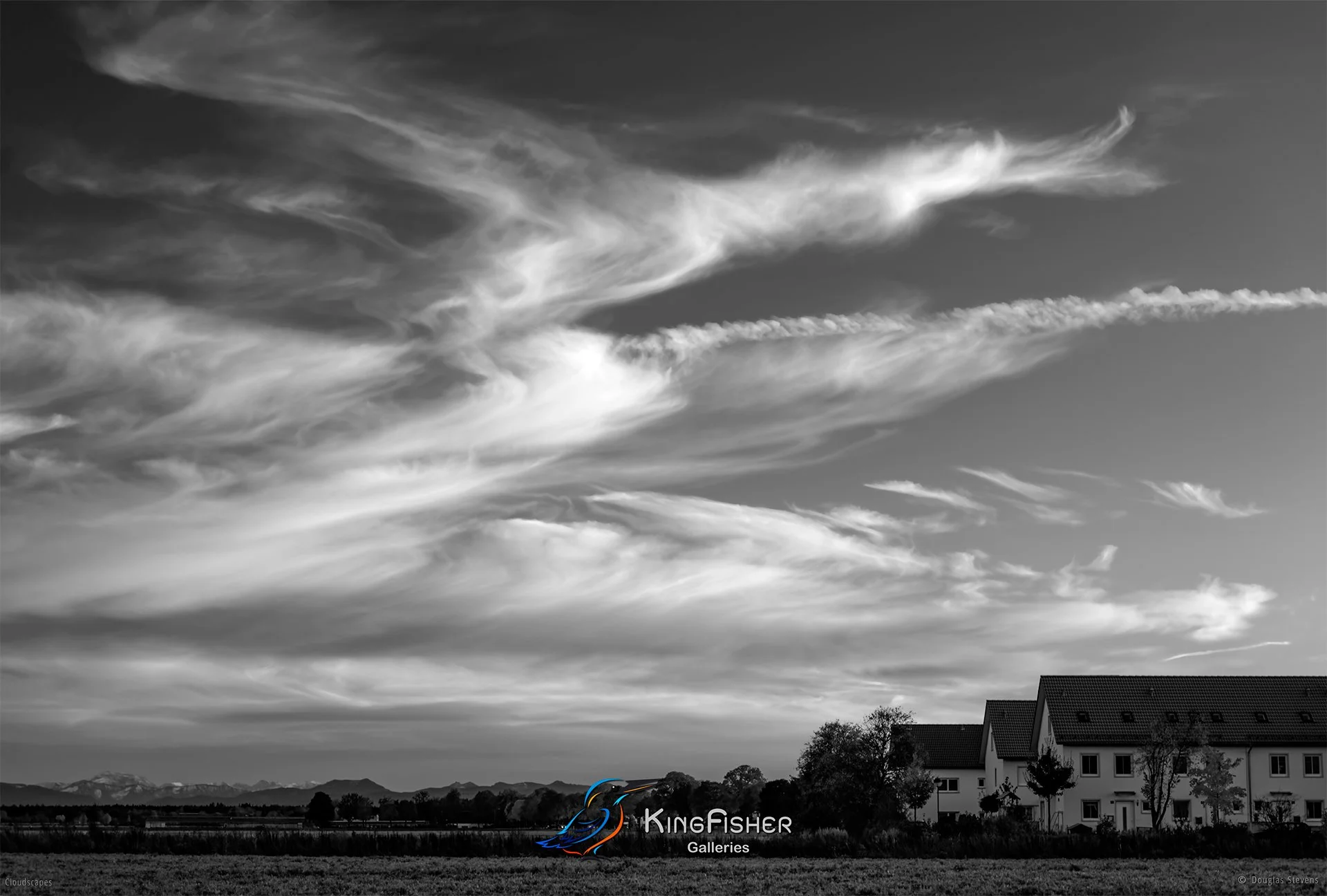 084_DST_Cloudscapes_2014_L_BW.jpg