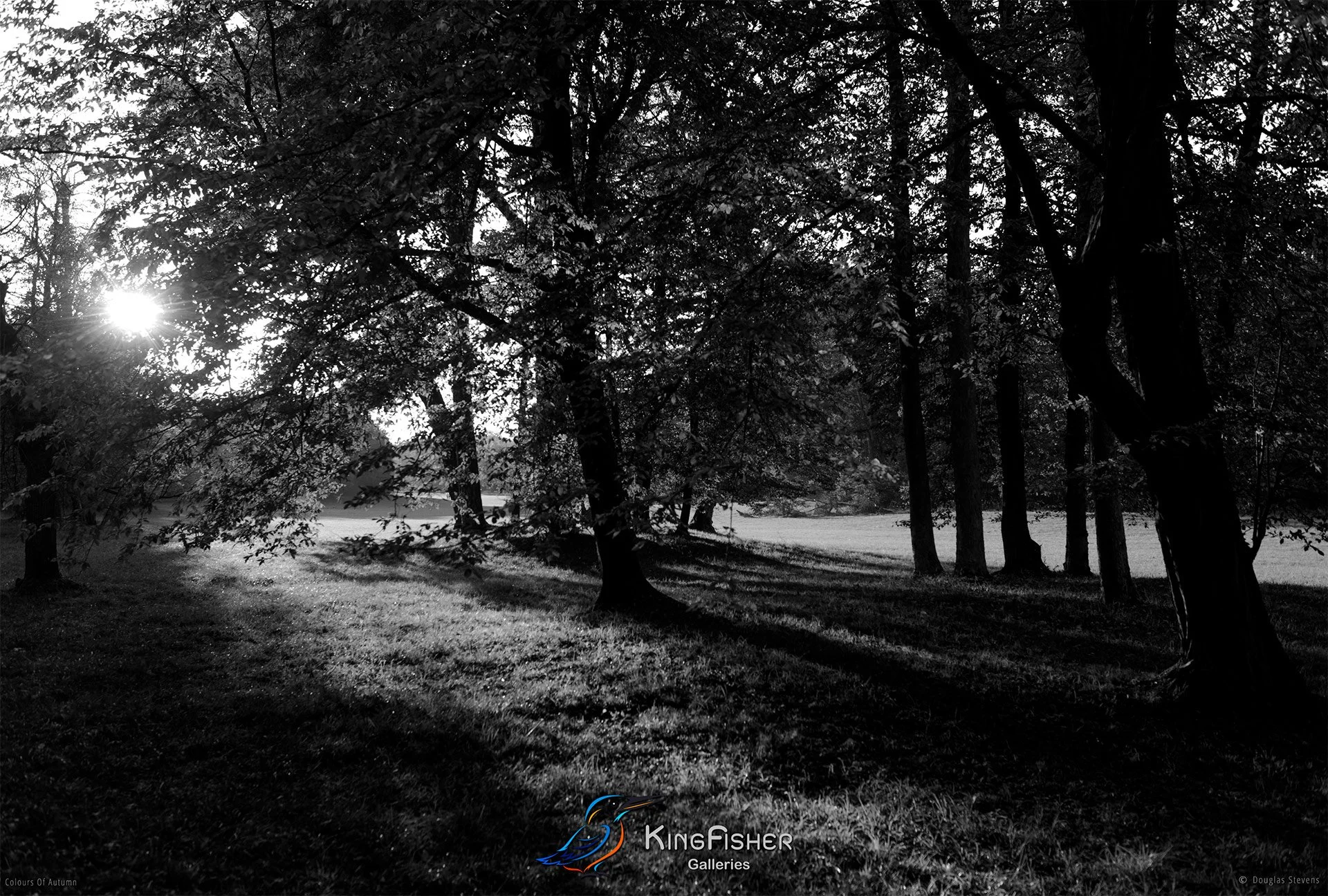 088_DST_Colours_Of_Autumn_L_BW.jpg