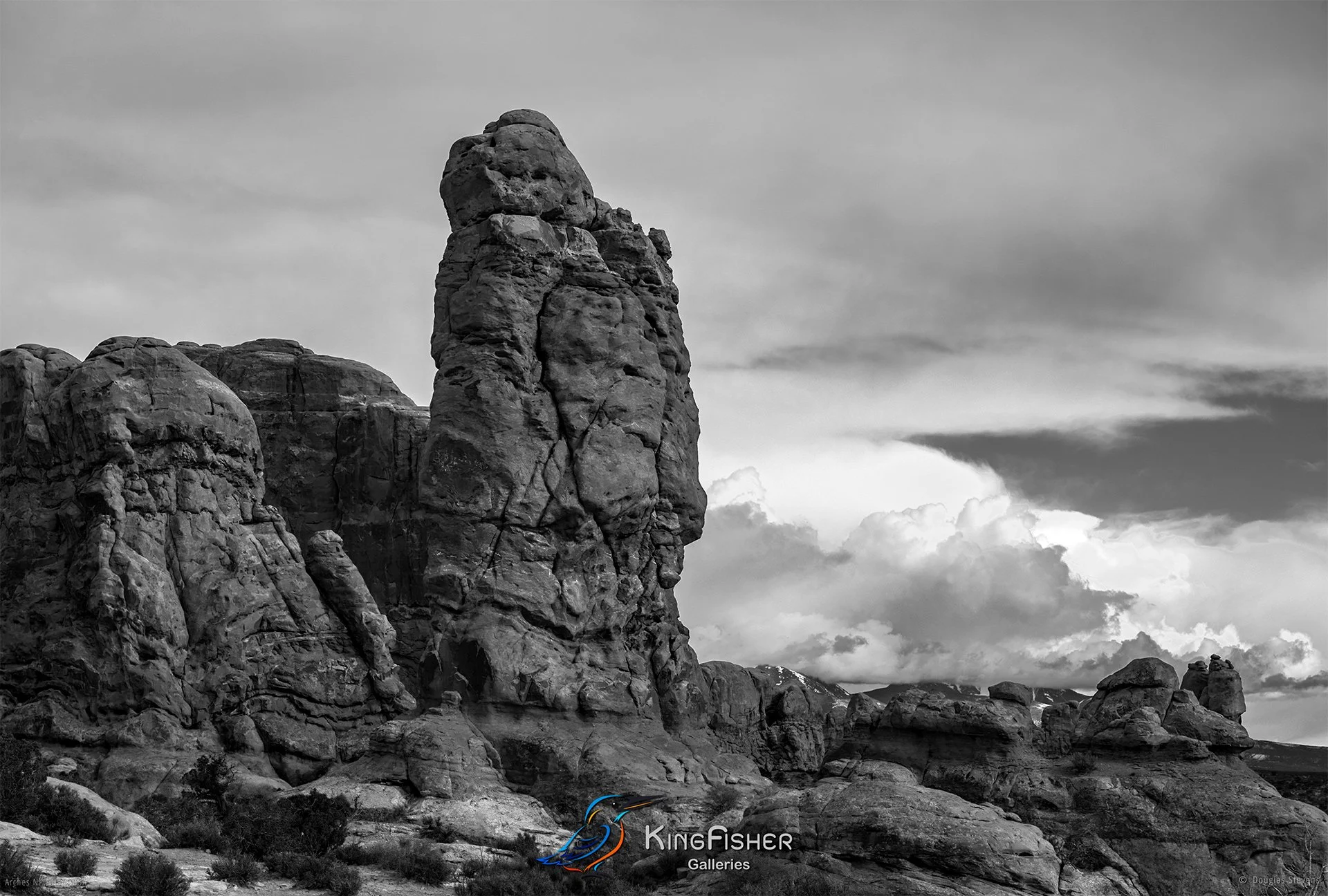 033_DST_Arches_NP_UT_USA_2012_L_BW.jpg