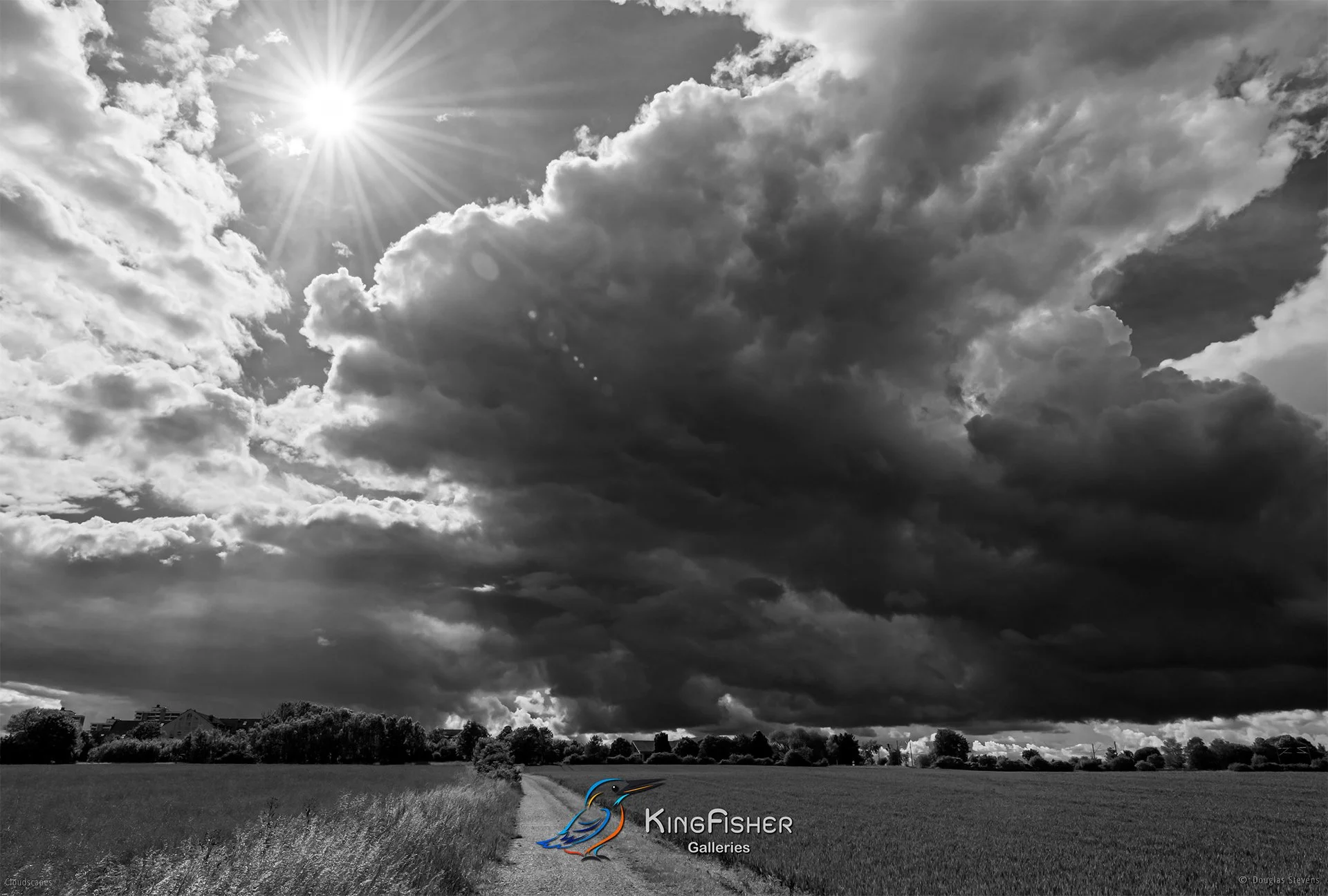 134_DST_Cloudscapes_2016_L_BW.jpg