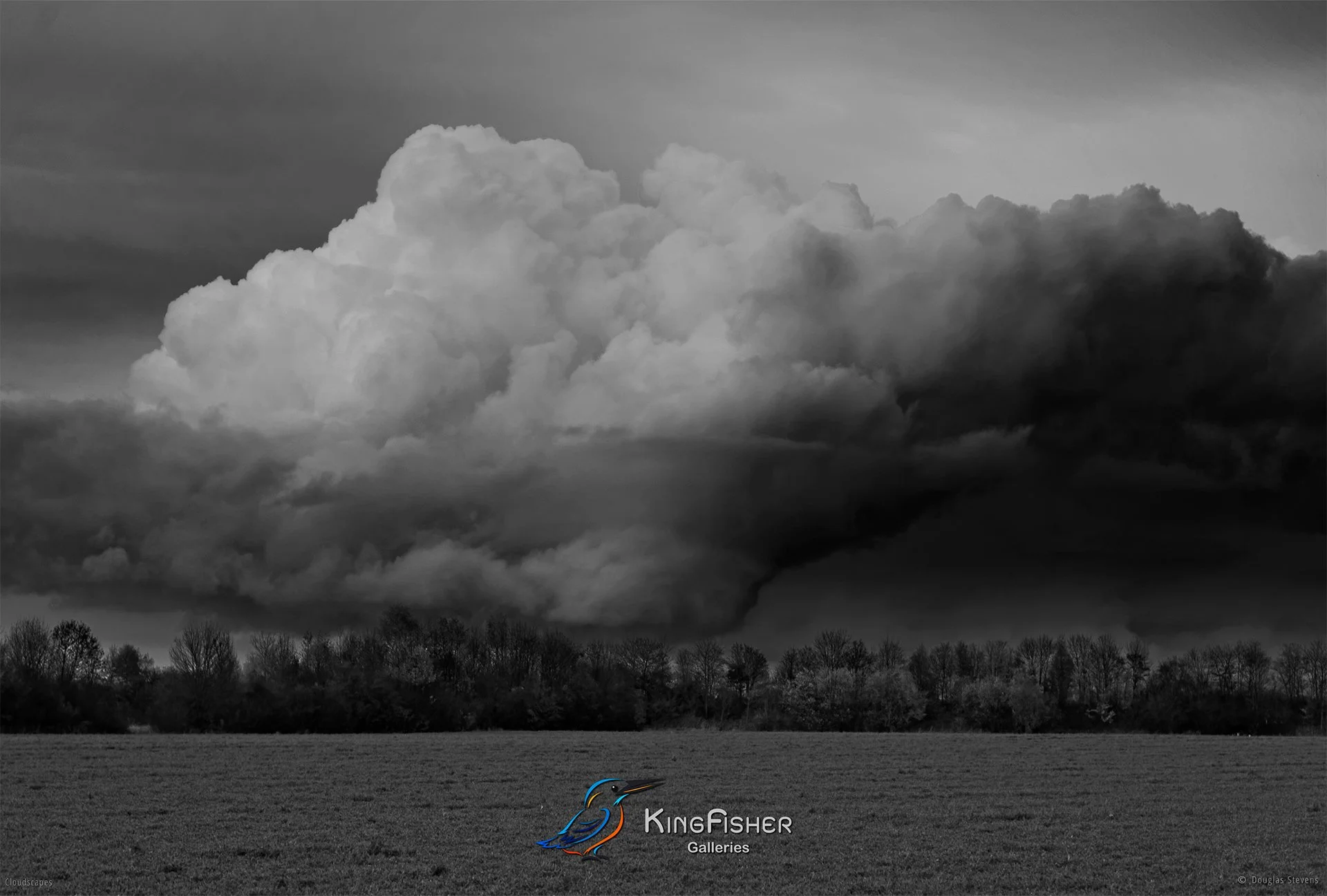081_DST_Cloudscapes_2014_L_BW.jpg