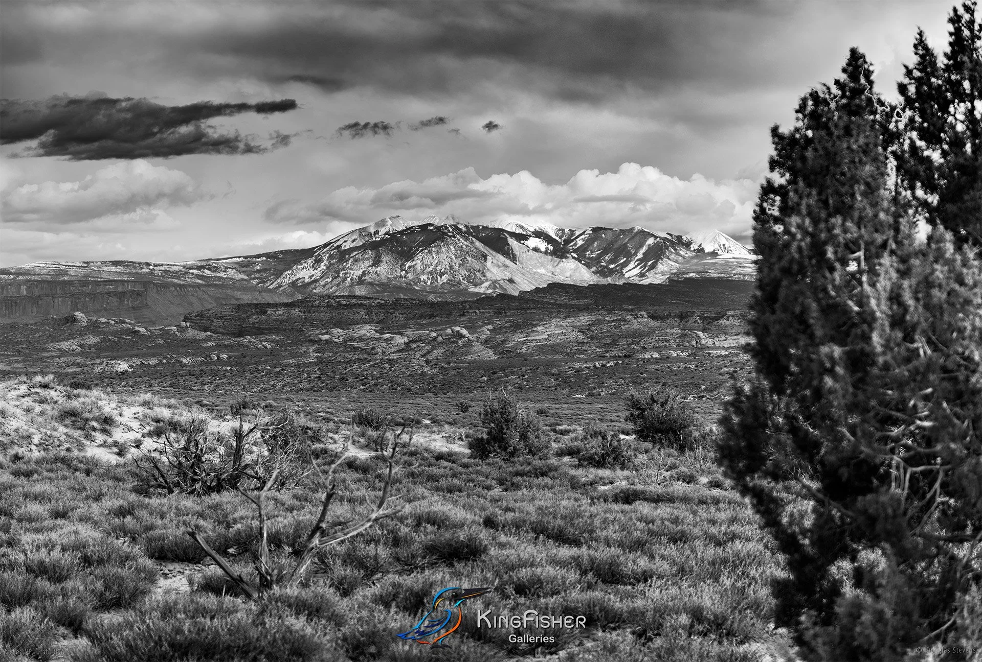 035_DST_Arches_NP_UT_USA_2012_L_BW.jpg