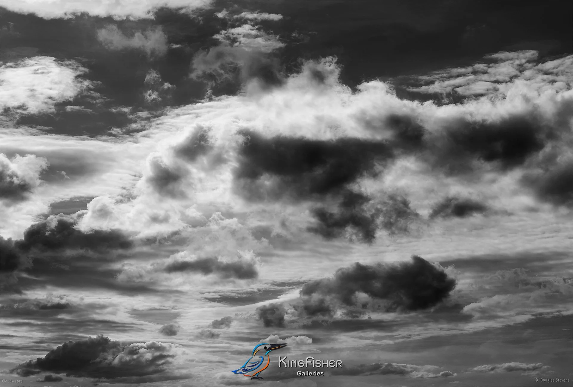 075_DST_Cloudscapes_2013_L_BW.jpg