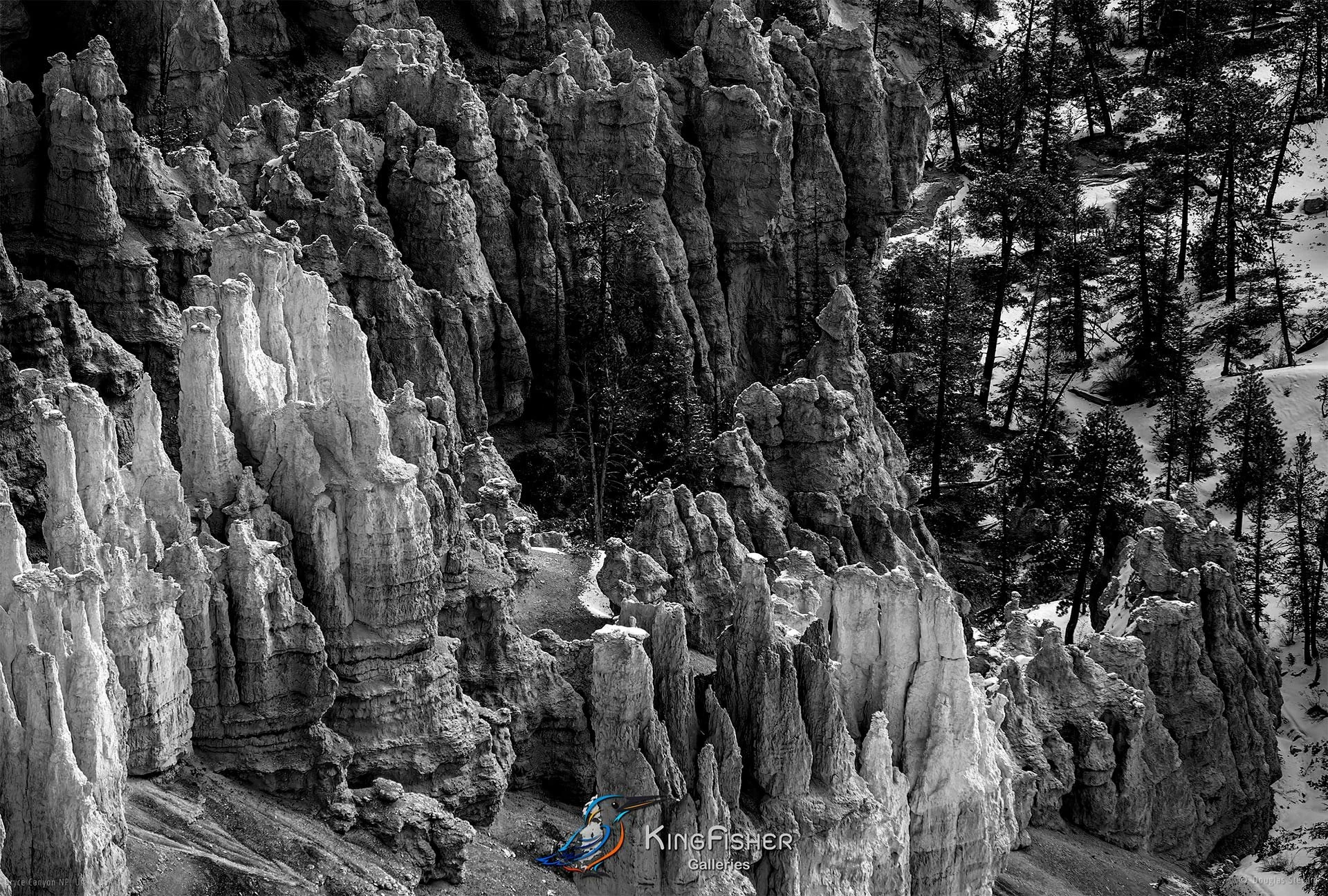 022_DST_Bryce_Canyon_NP_UT_USA_2012_L_BW.jpg