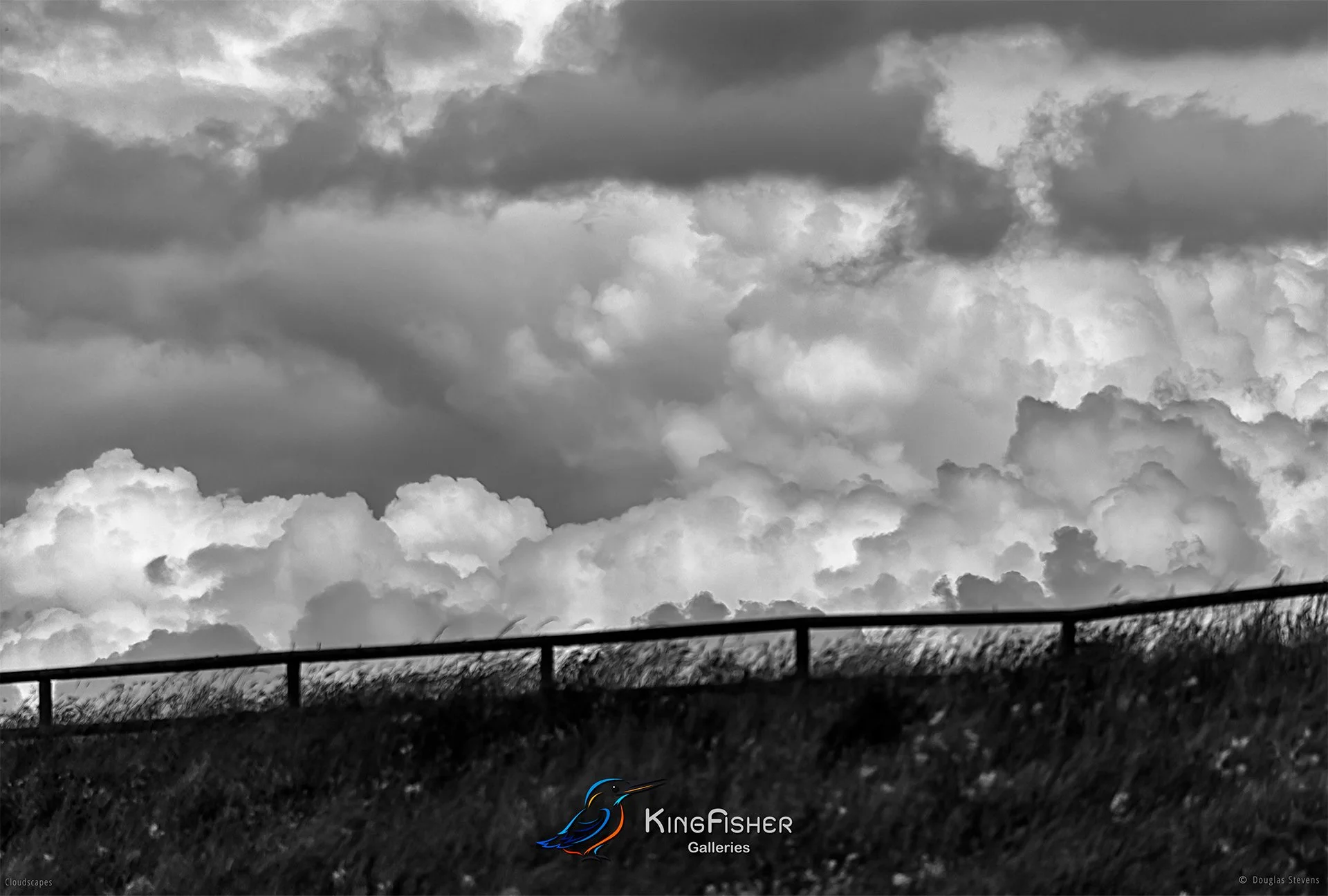 139_DST_Cloudscapes_2016_L_BW.jpg