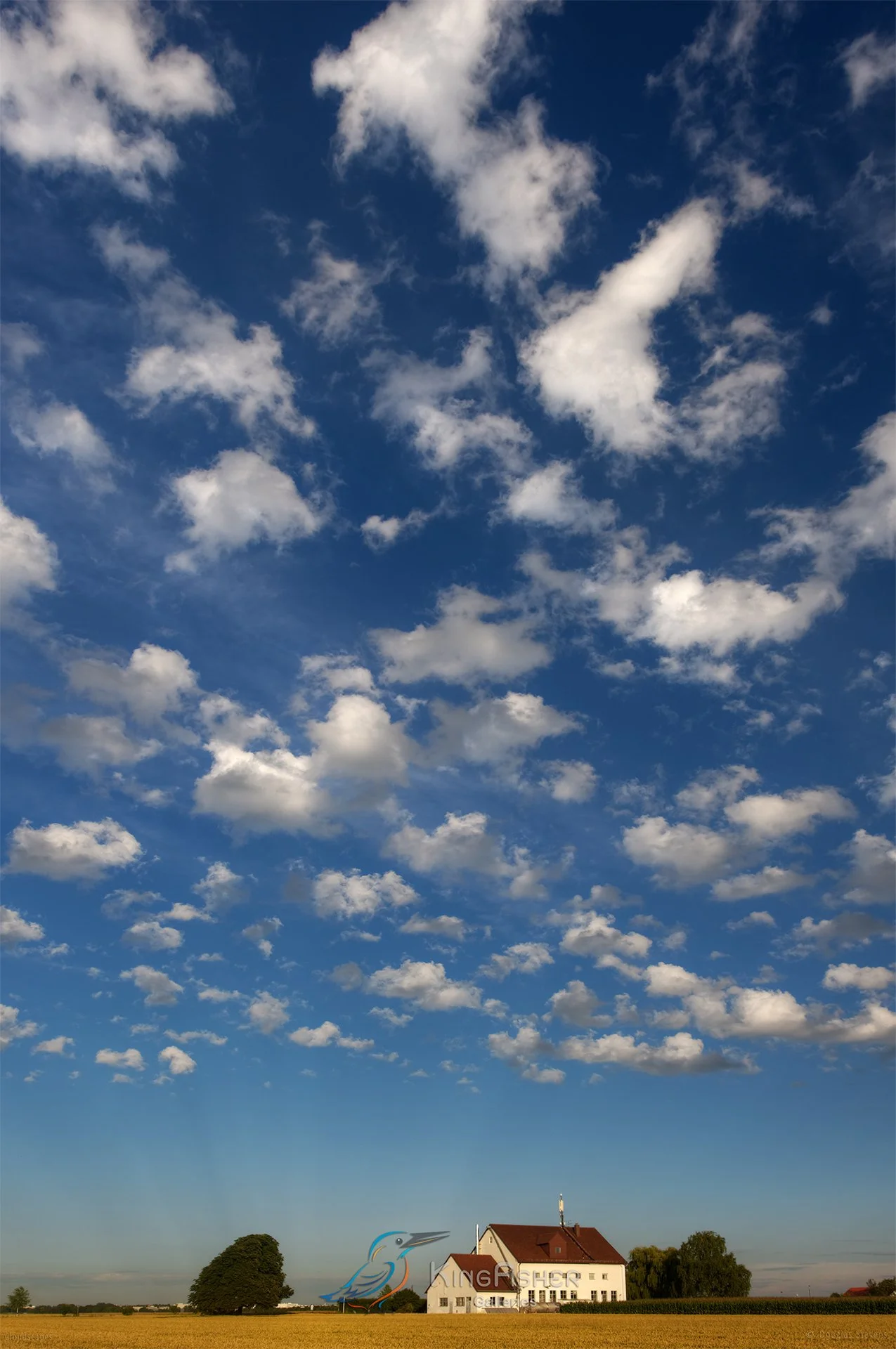 114_DST_Cloudscapes_2015_P.jpg