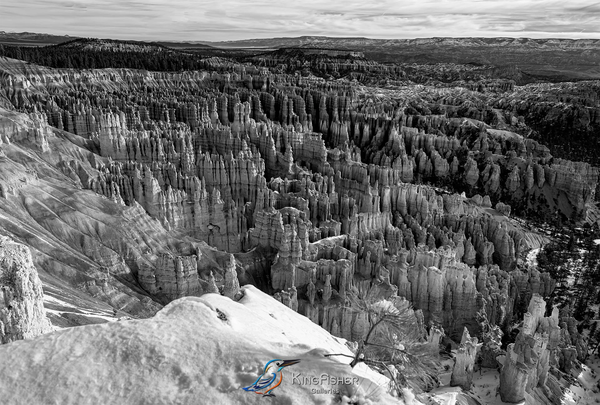 044_DST_Bryce_Canyon_NP_UT_USA_2012_L_BW.jpg