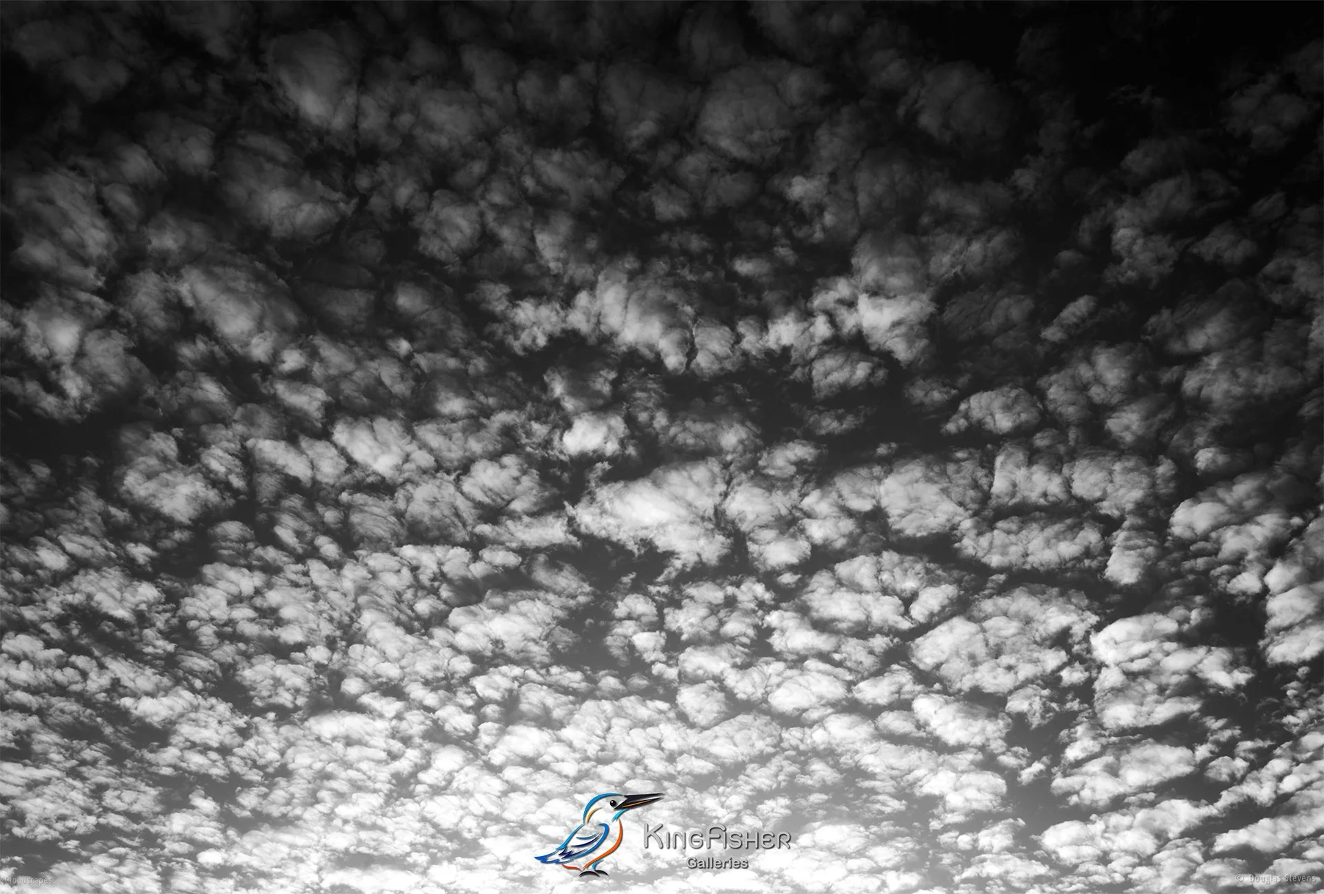 044_DST_Cloudscapes_2011_L_BW.jpg