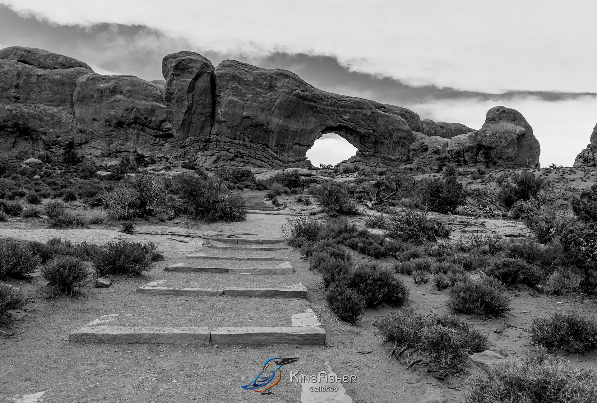 009_DST_Arches_NP_UT_USA_2012_L_BW.jpg