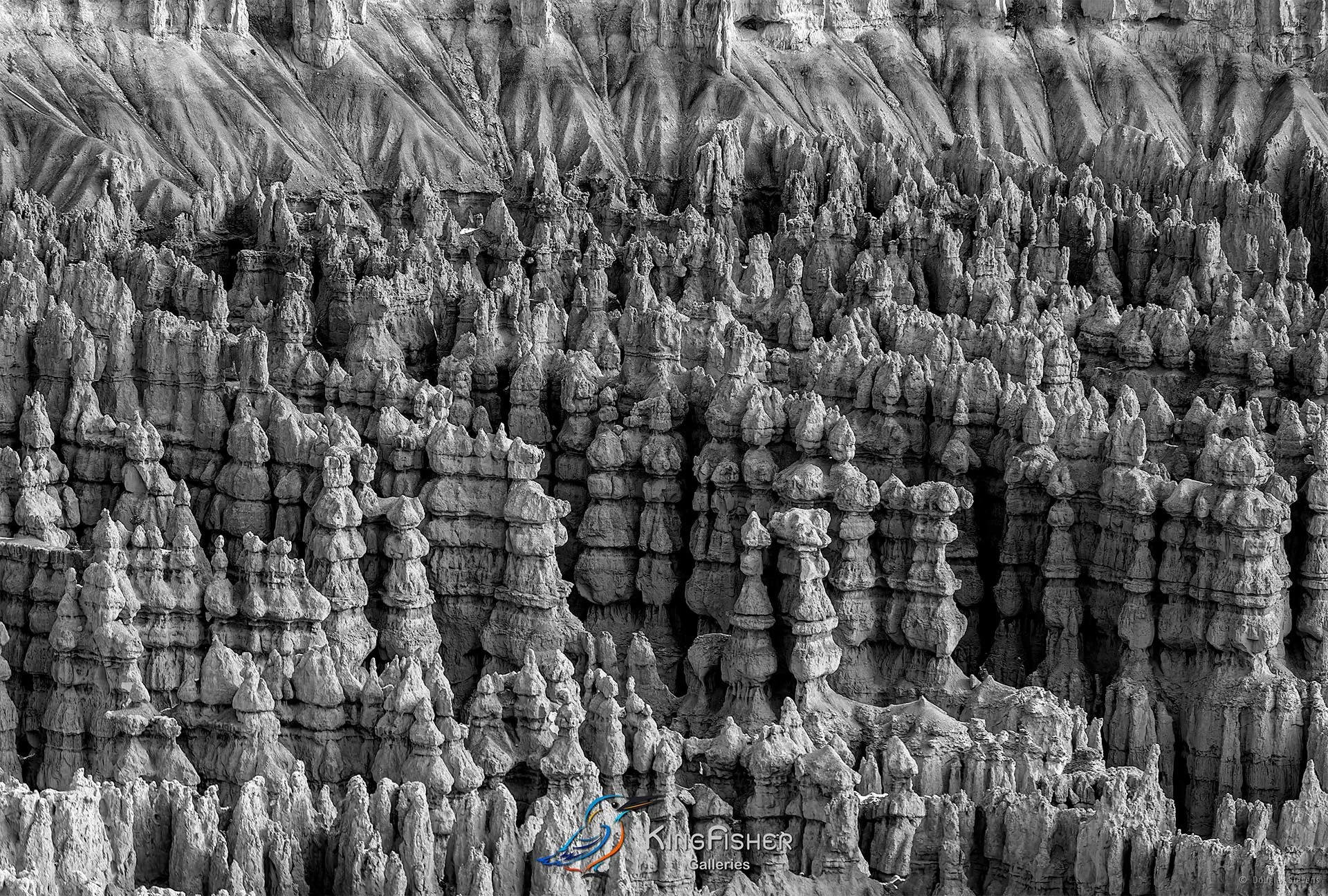 013_DST_Bryce_Canyon_NP_UT_USA_2012_L_BW.jpg