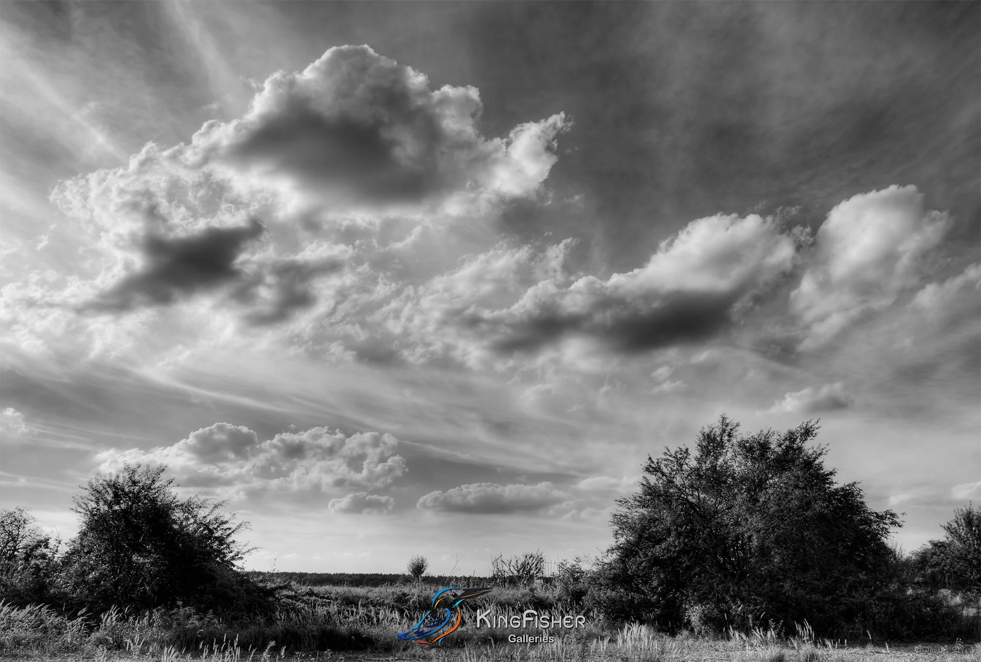 030_DST_Cloudscapes_2010_L_BW.jpg
