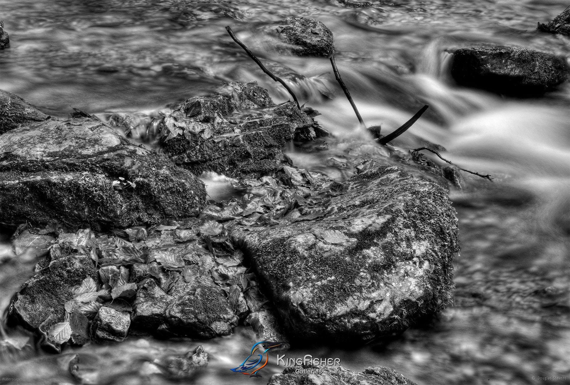 003_DST_The_Power_Of_Water_L_BW.jpg