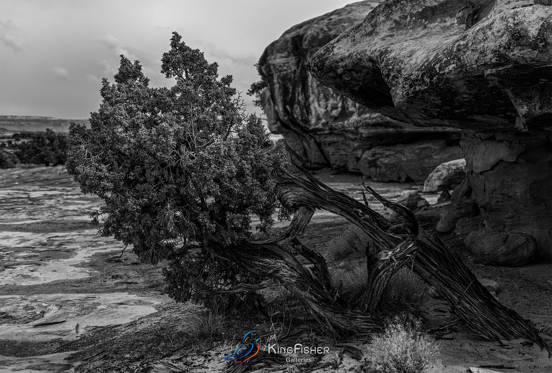 095_DST_Canyonlands_NP_UT_USA_2012_L_BW.jpg