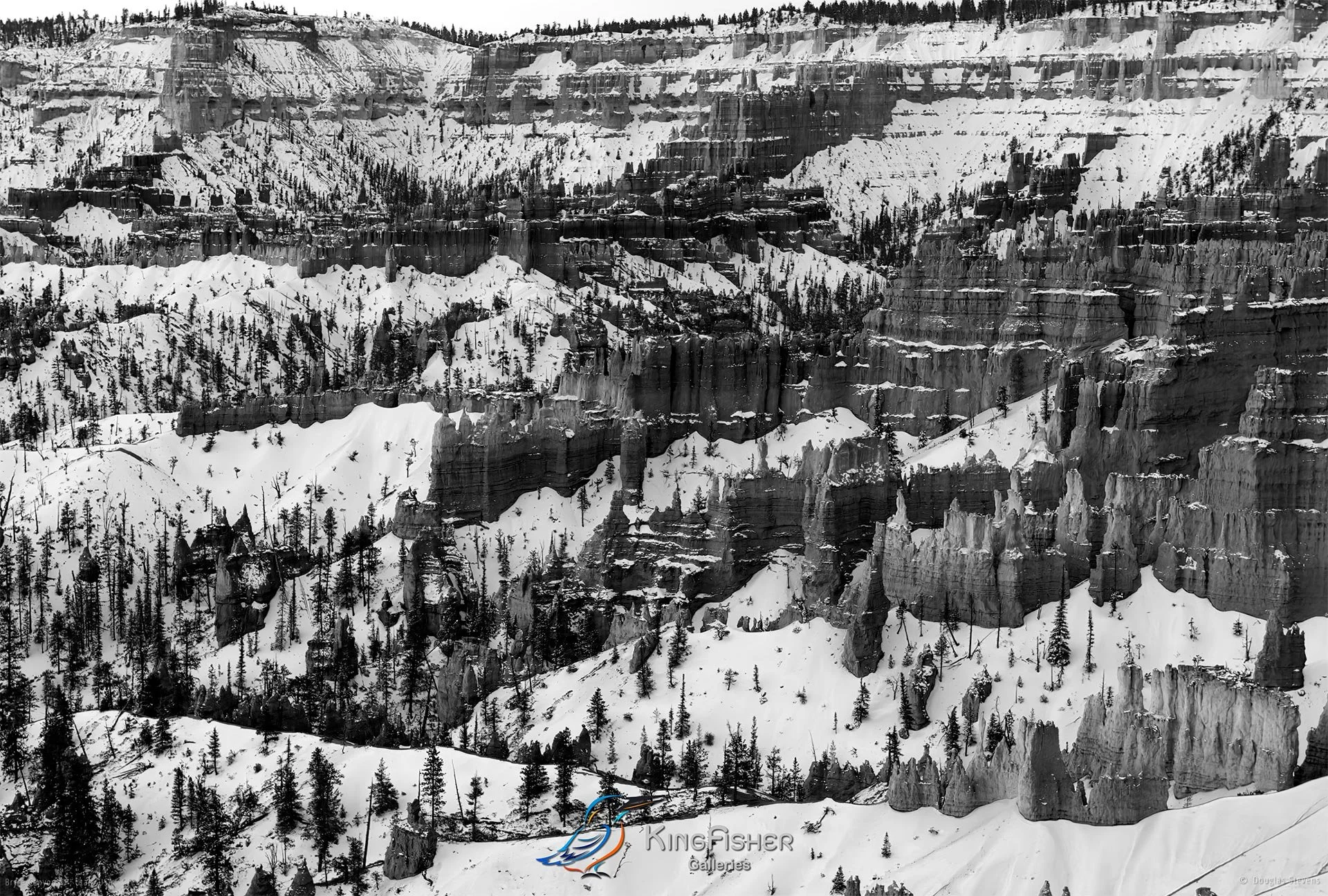 002_DST_Bryce_Canyon_NP_UT_USA_2012_L_BW.jpg