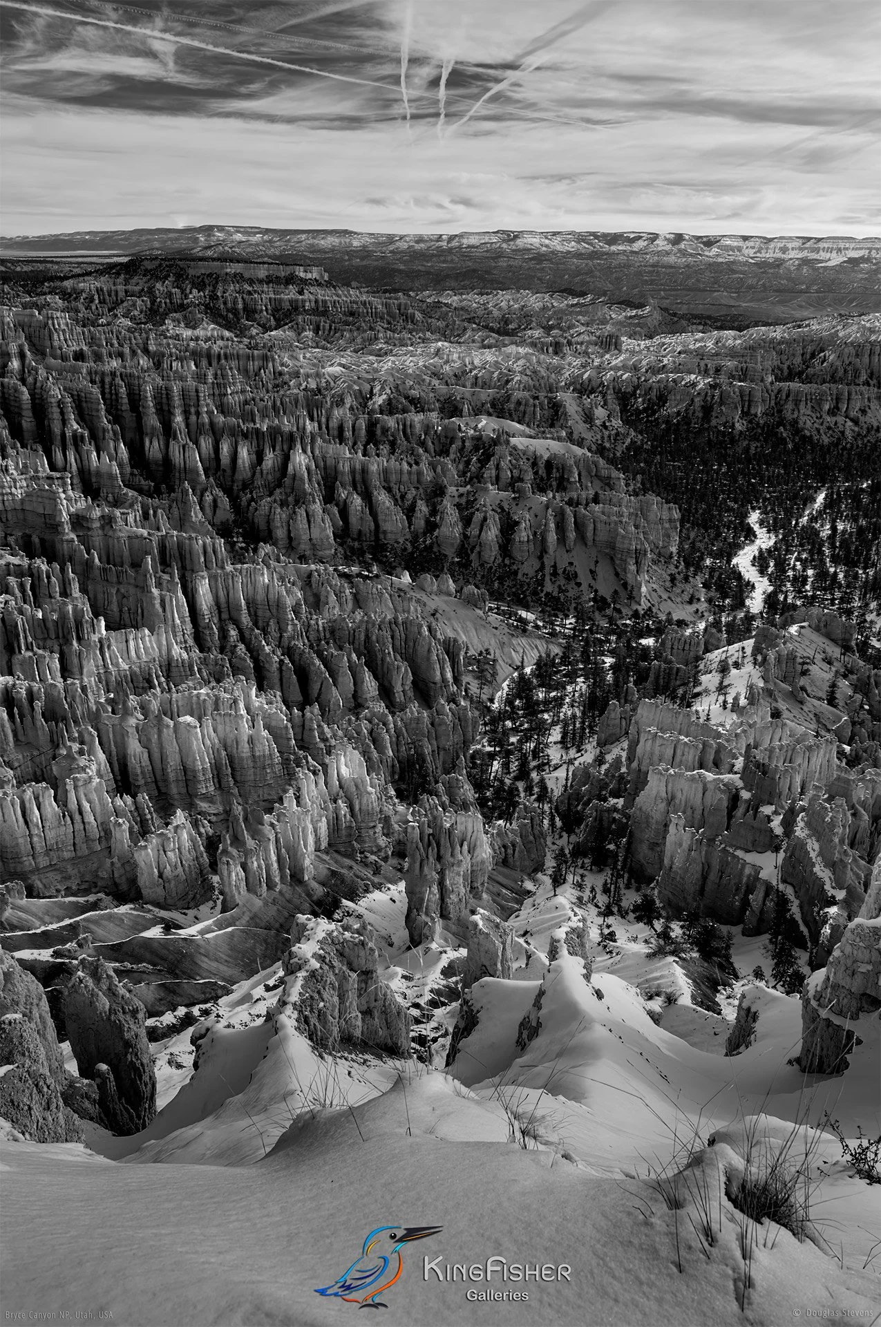 033_DST_Bryce_Canyon_NP_UT_USA_2012_P_BW.jpg