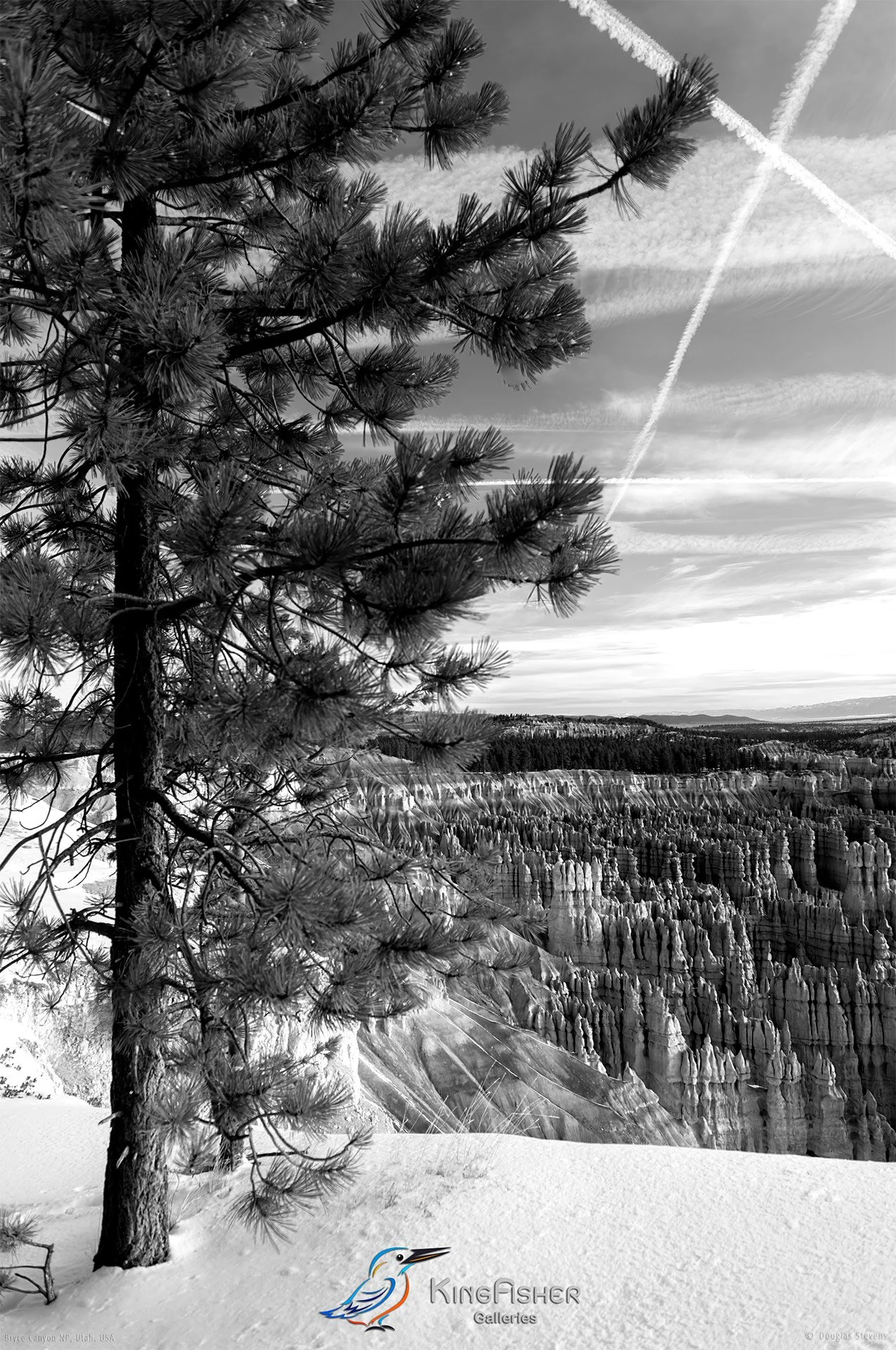 041_DST_Bryce_Canyon_NP_UT_USA_2012_P_BW.jpg