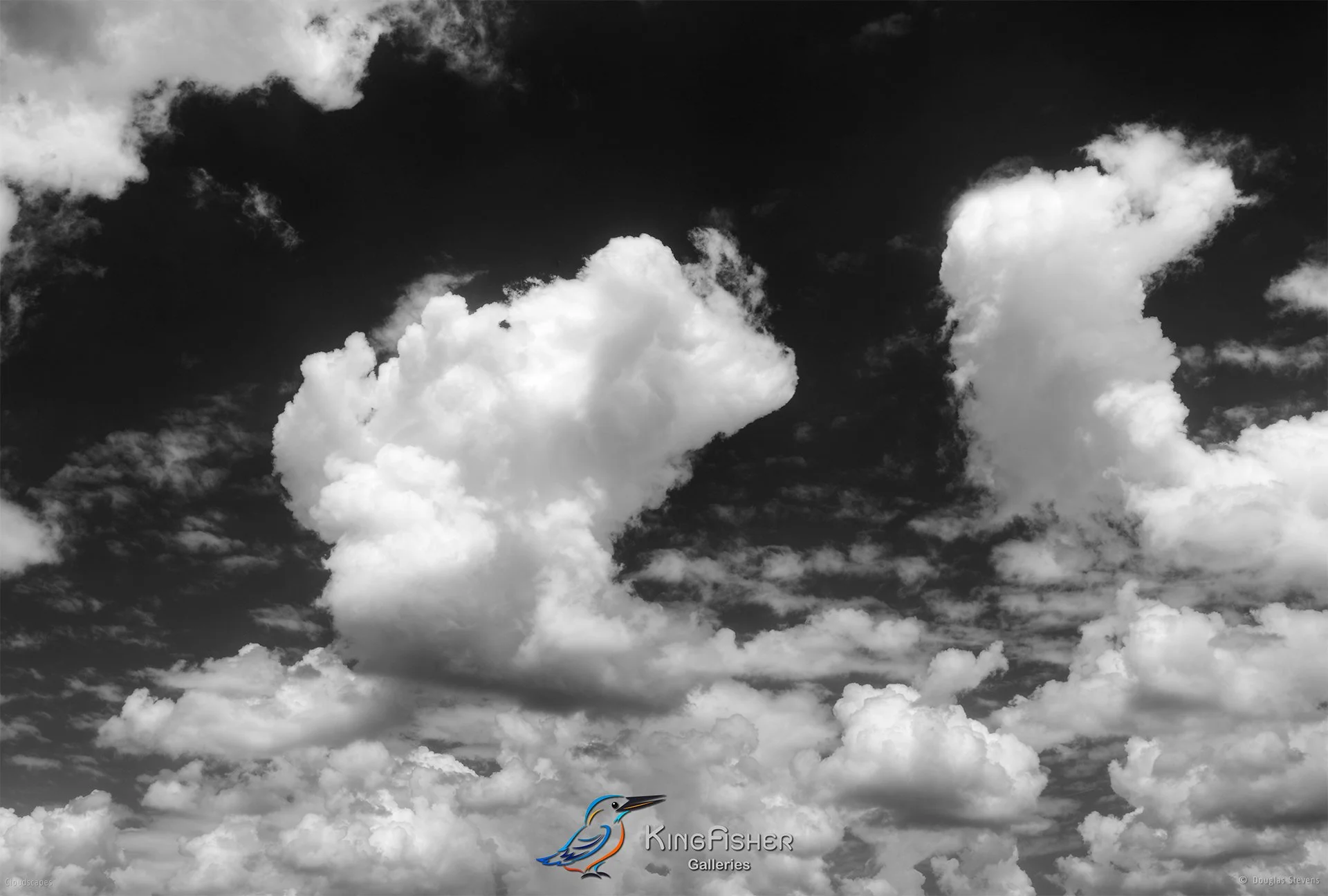 059_DST_Cloudscapes_2012_L_BW.jpg