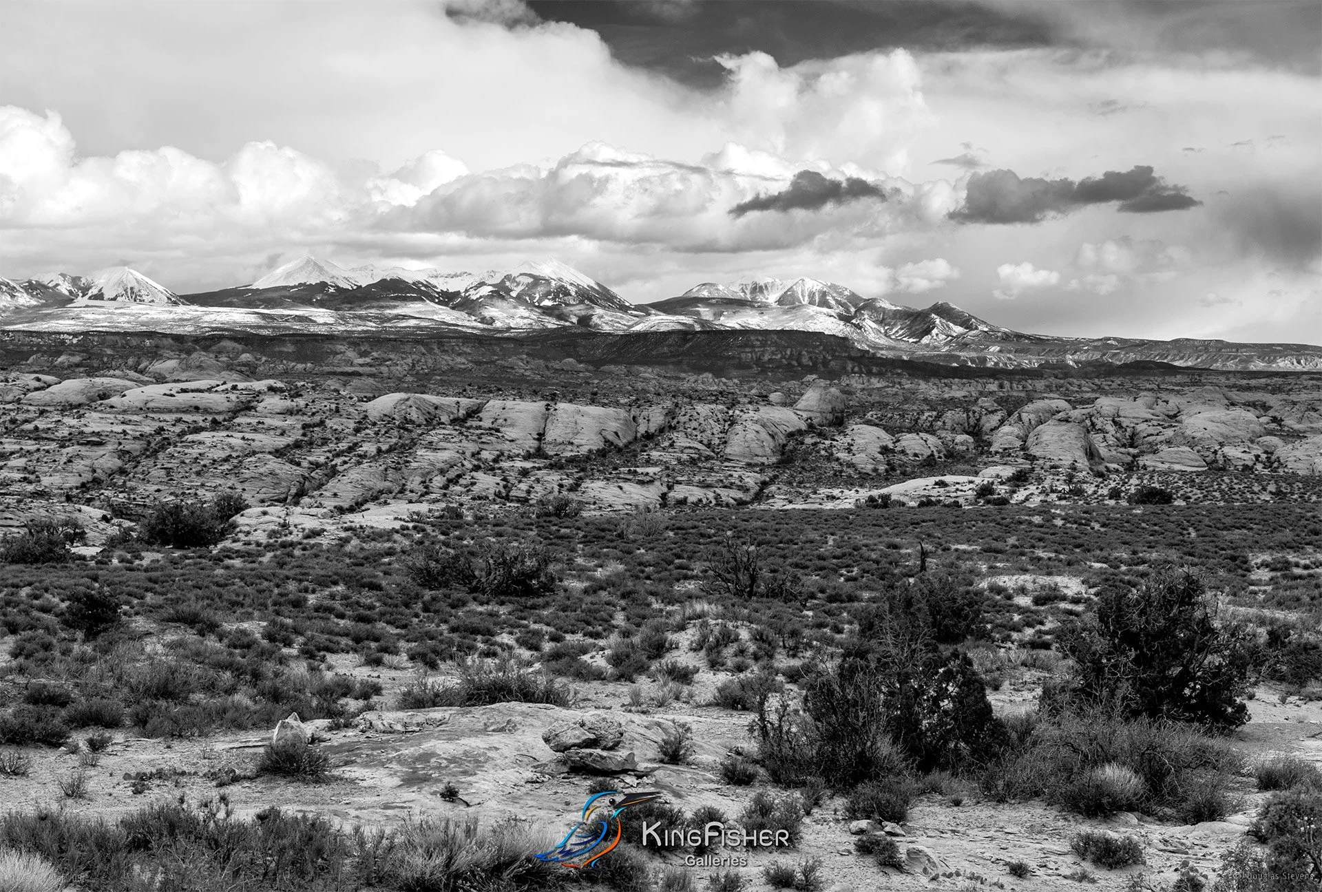 018_DST_Arches_NP_UT_USA_2012_L_BW.jpg
