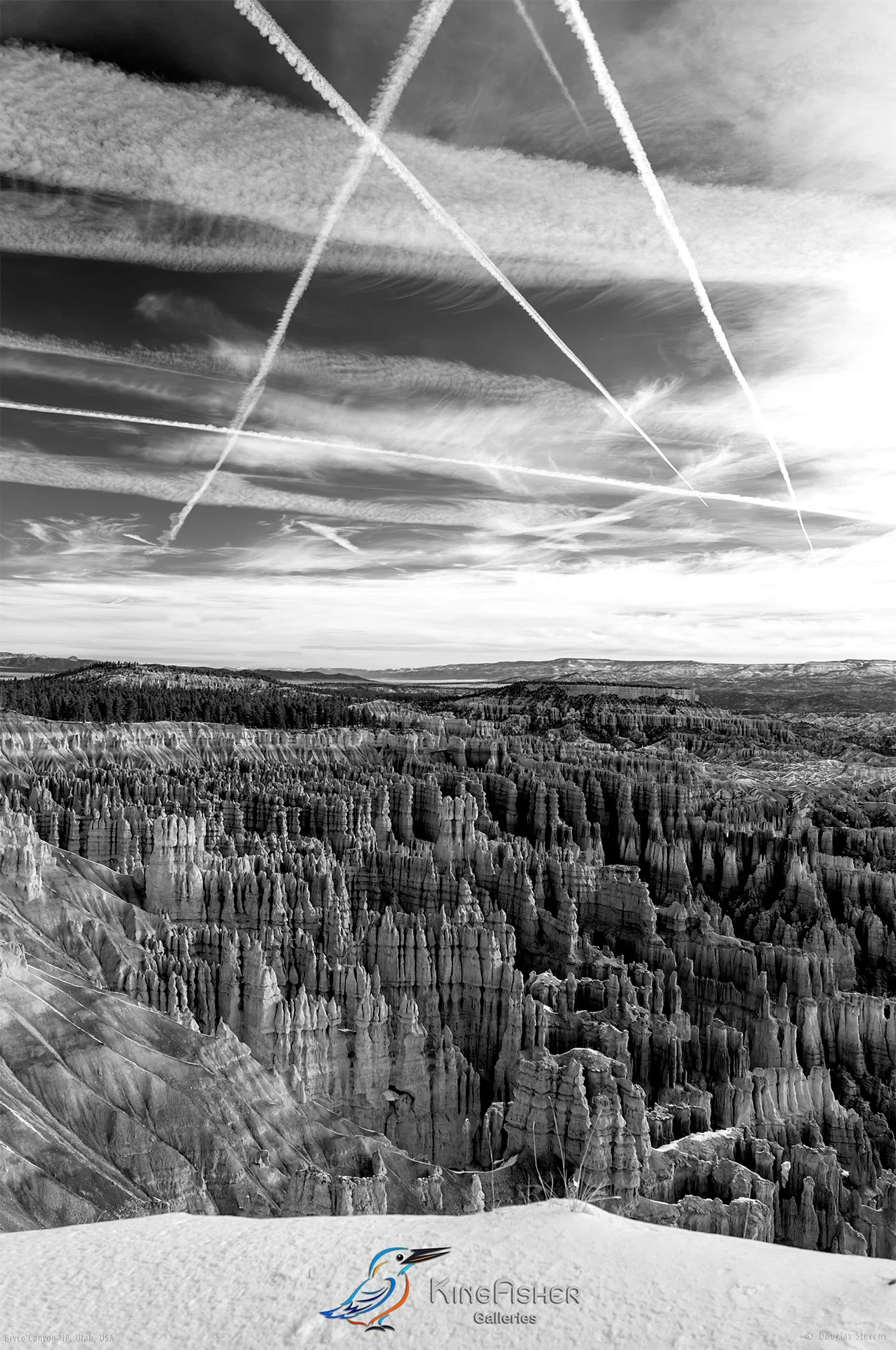 040_DST_Bryce_Canyon_NP_UT_USA_2012_P_BW.jpg