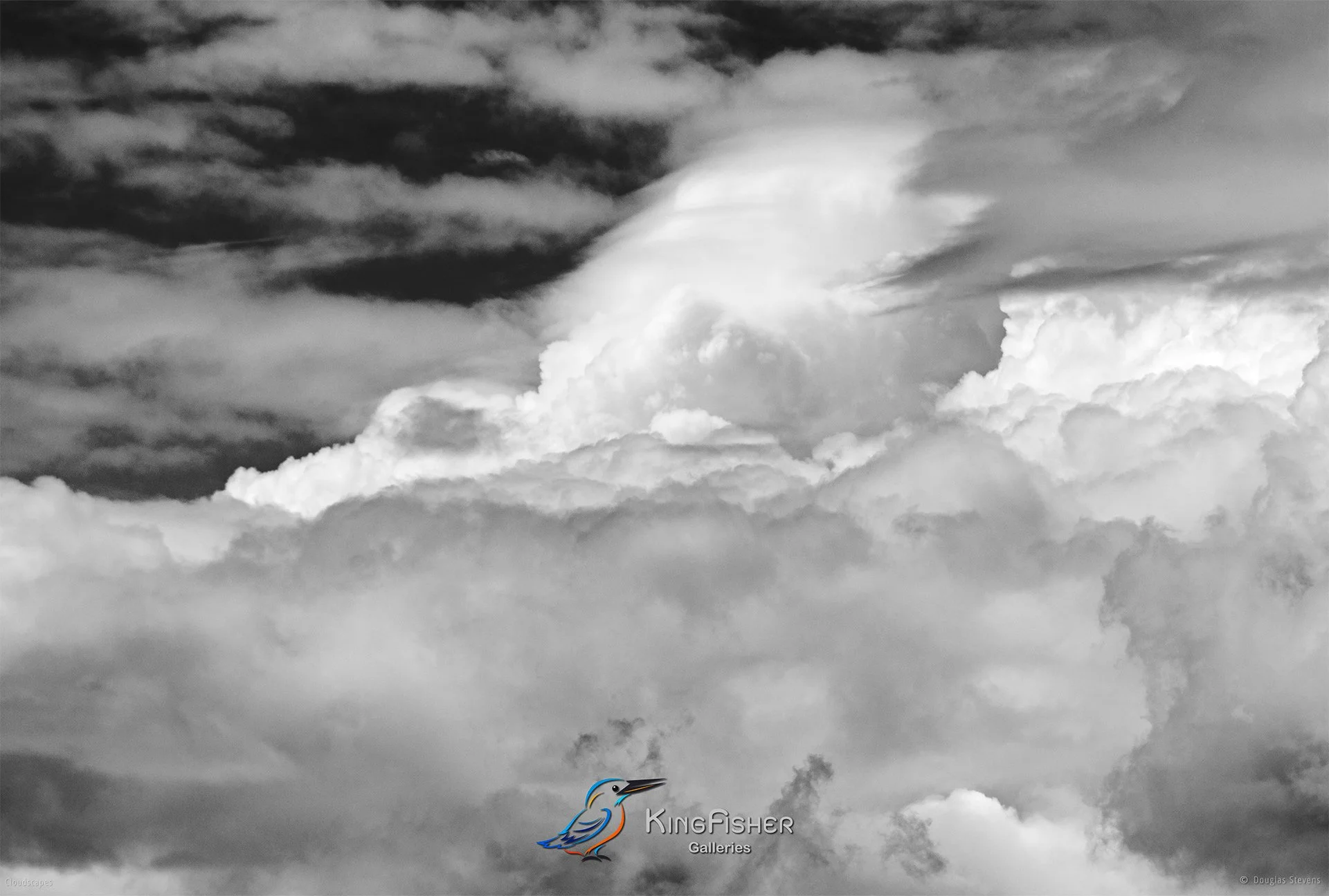 156_DST_Cloudscapes_2016_L_BW.jpg