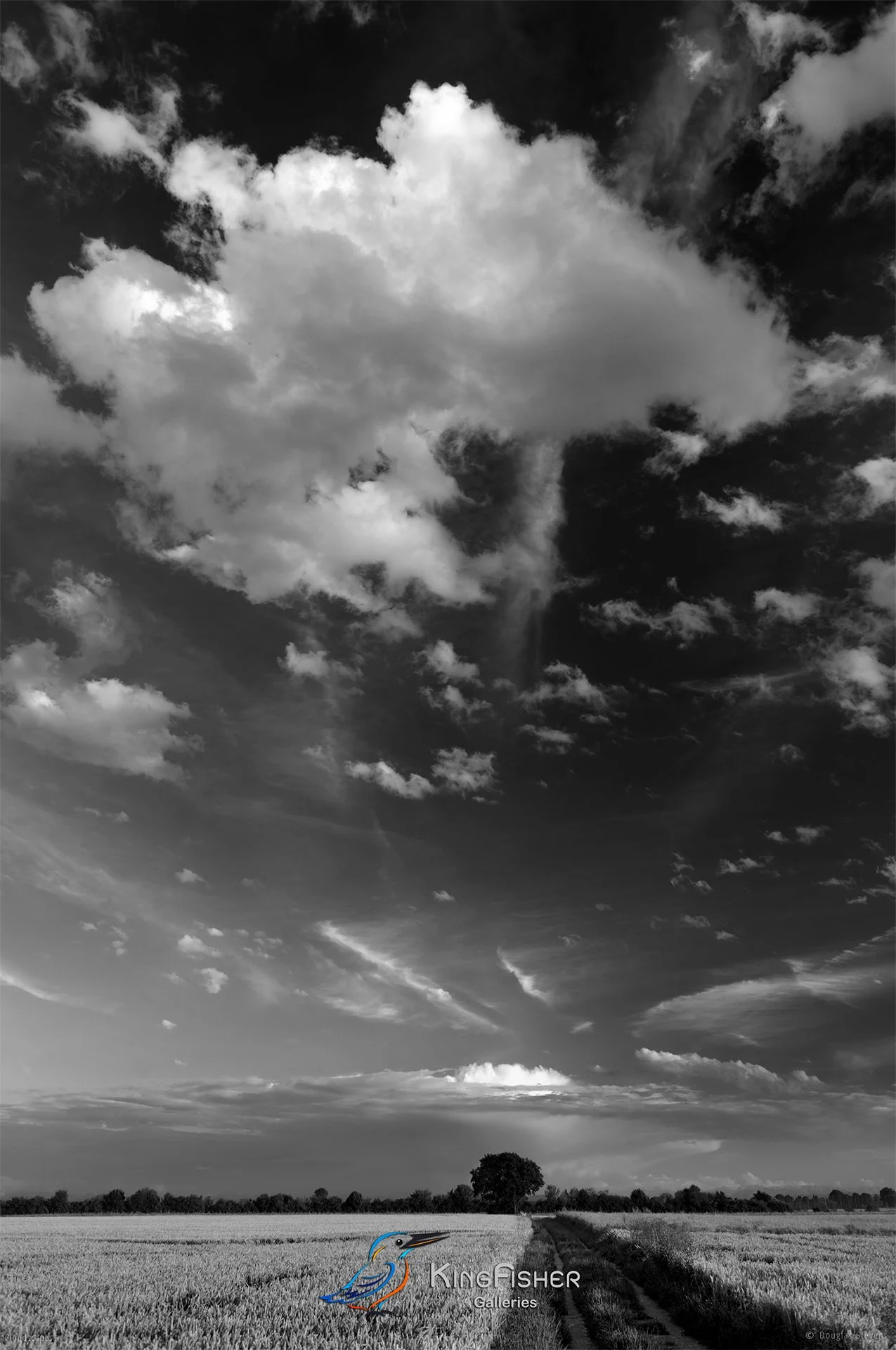 115_DST_Cloudscapes_2015_P_BW.jpg