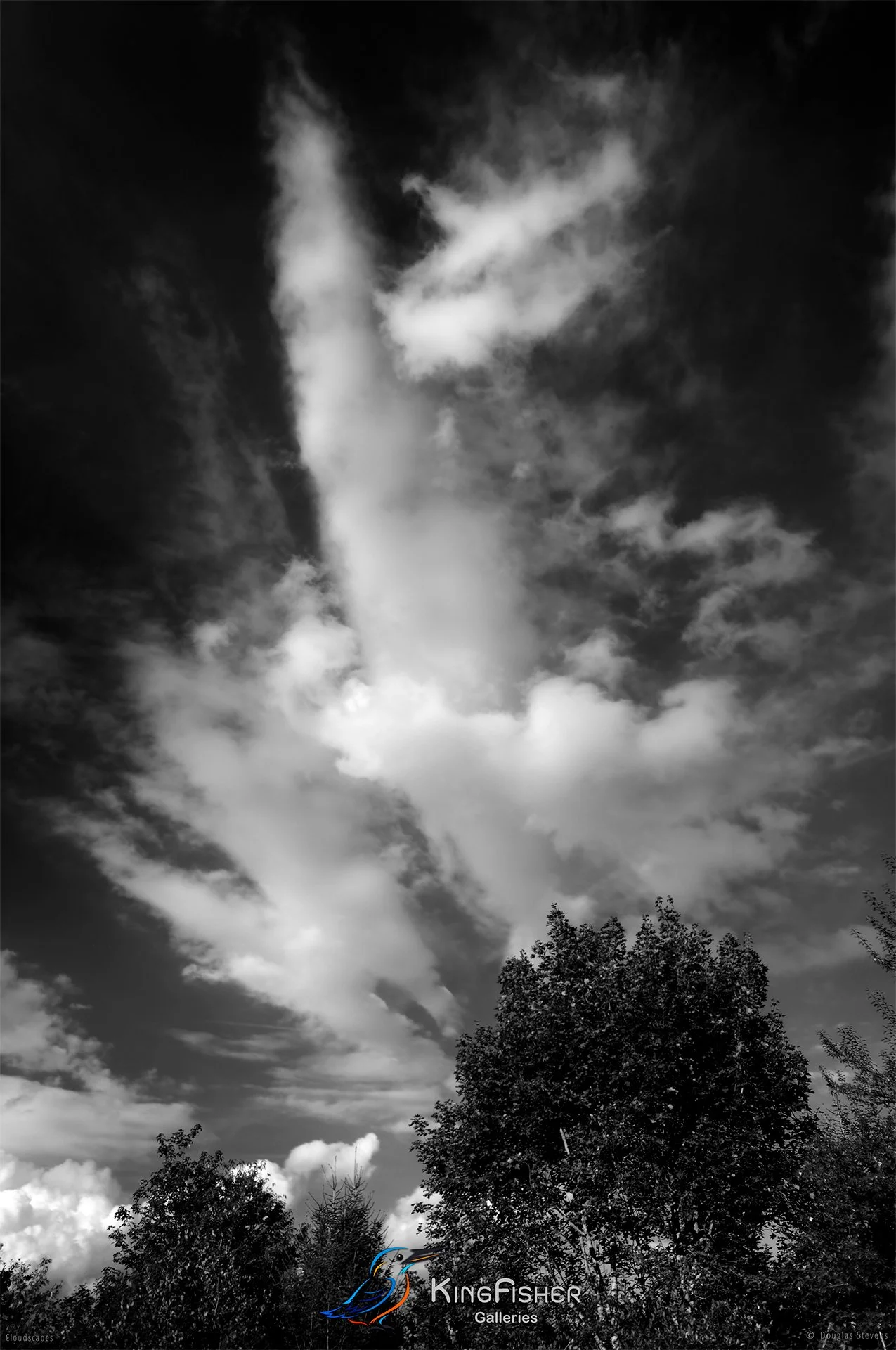 052_DST_Cloudscapes_2012_P_BW.jpg