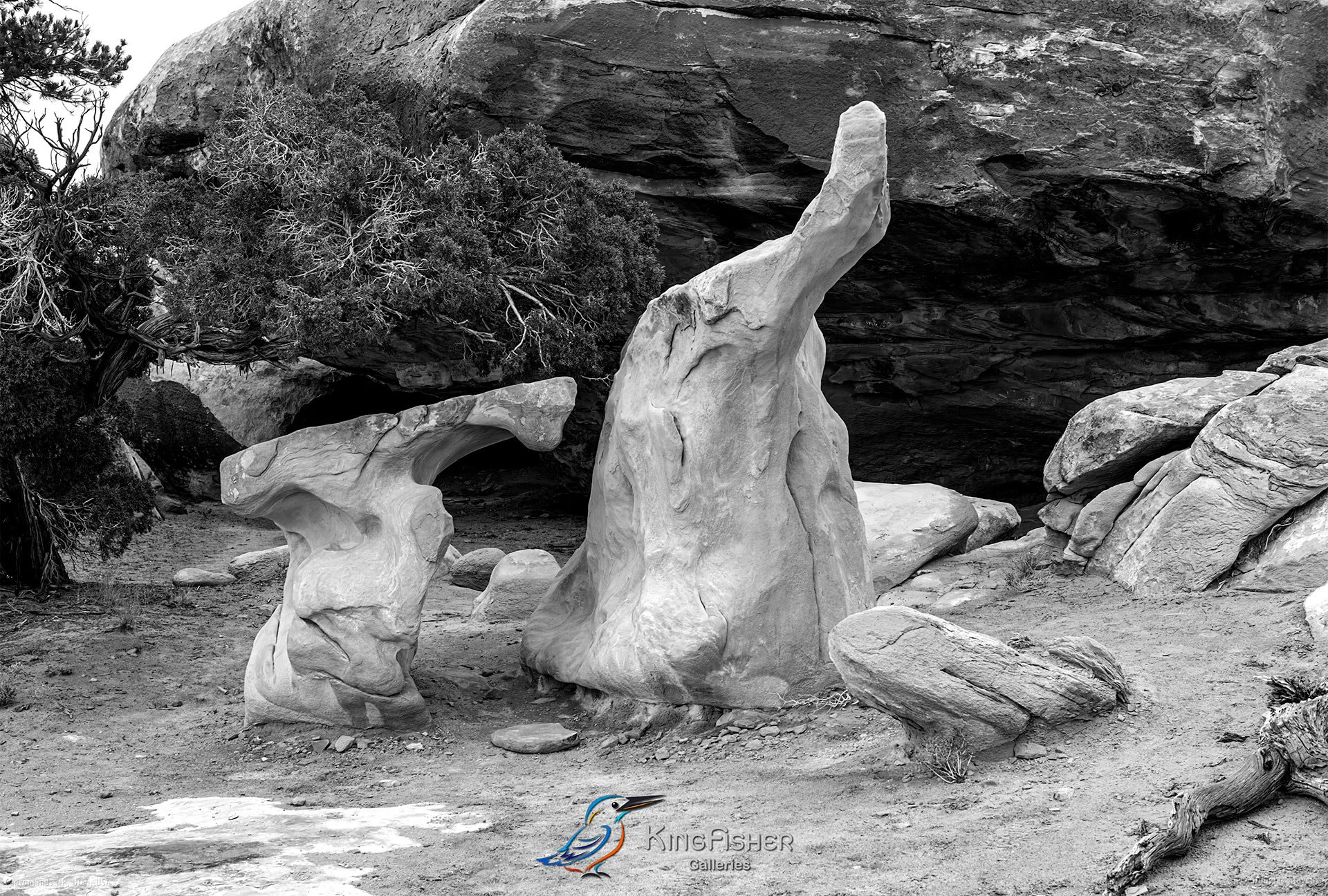 104_DST_Canyonlands_NP_UT_USA_2012_L_BW.jpg