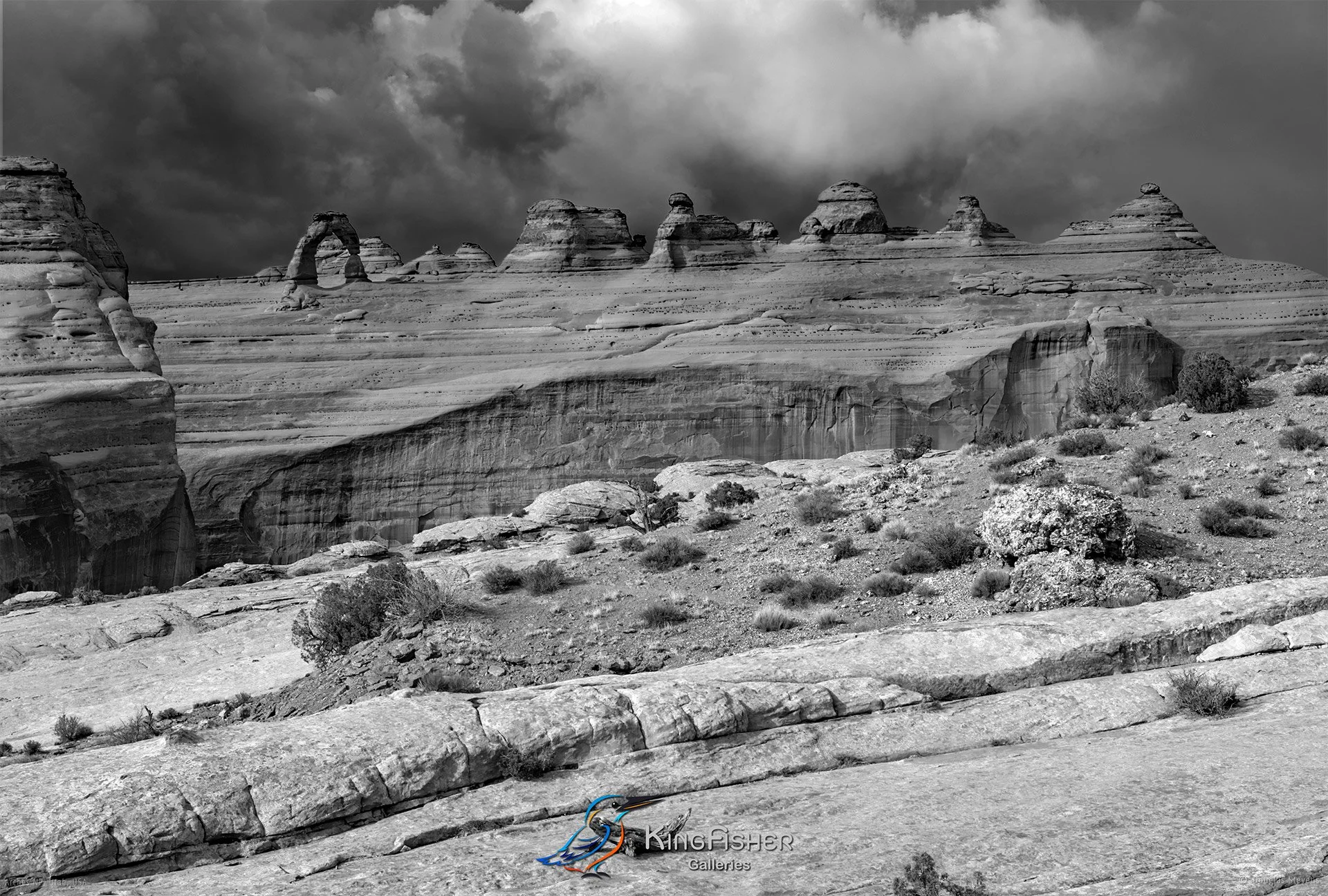 037_DST_Arches_NP_UT_USA_2012_L_BW.jpg