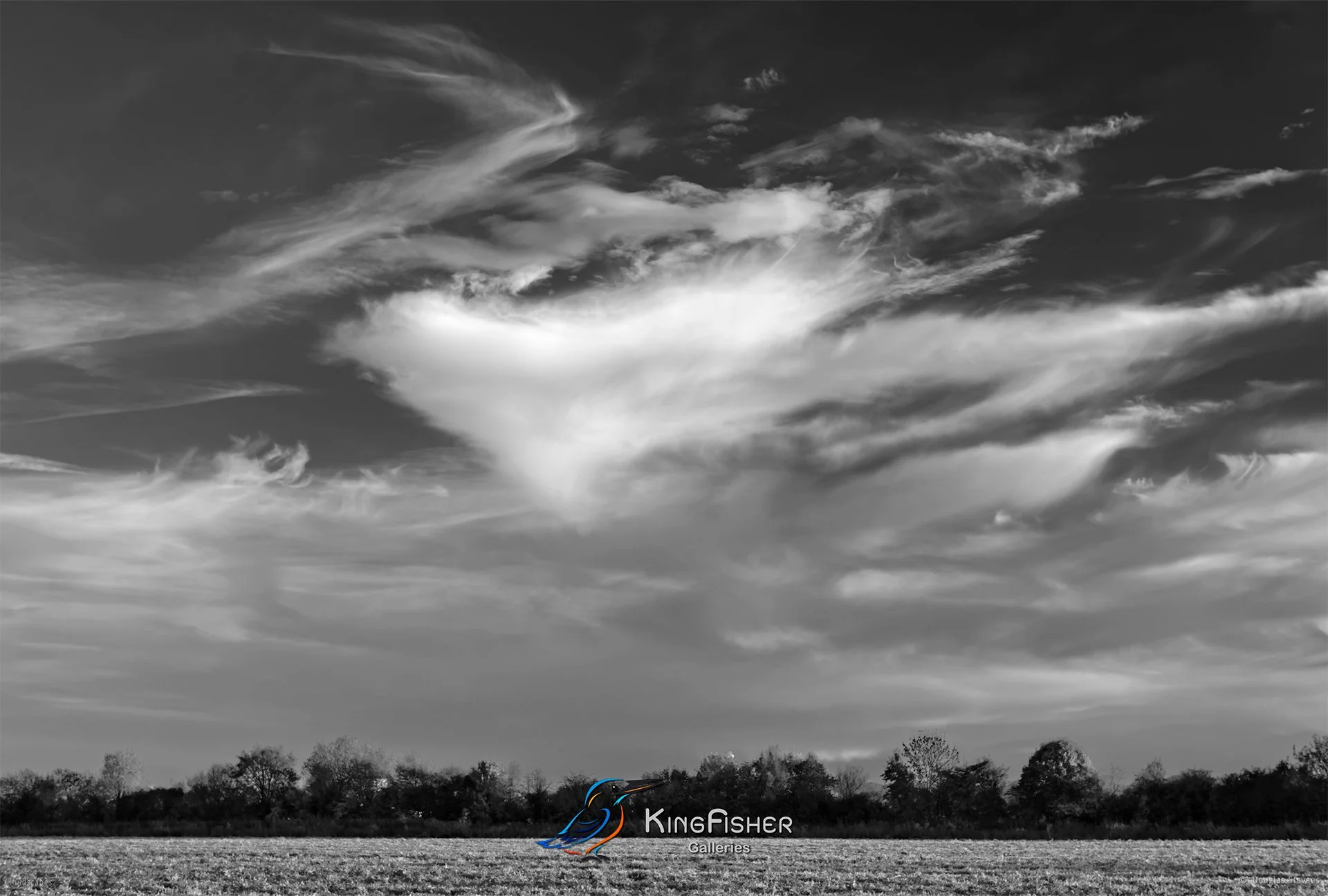 082_DST_Cloudscapes_2014_L_BW.jpg