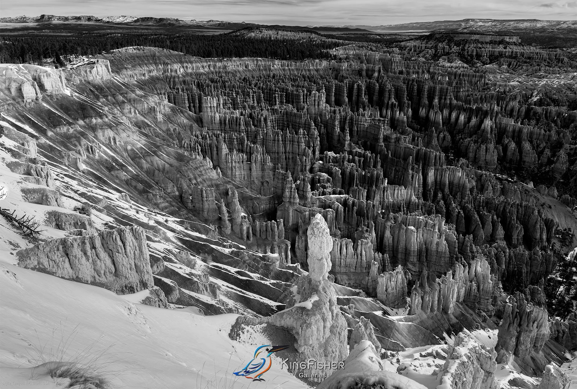 029_DST_Bryce_Canyon_NP_UT_USA_2012_L_BW.jpg
