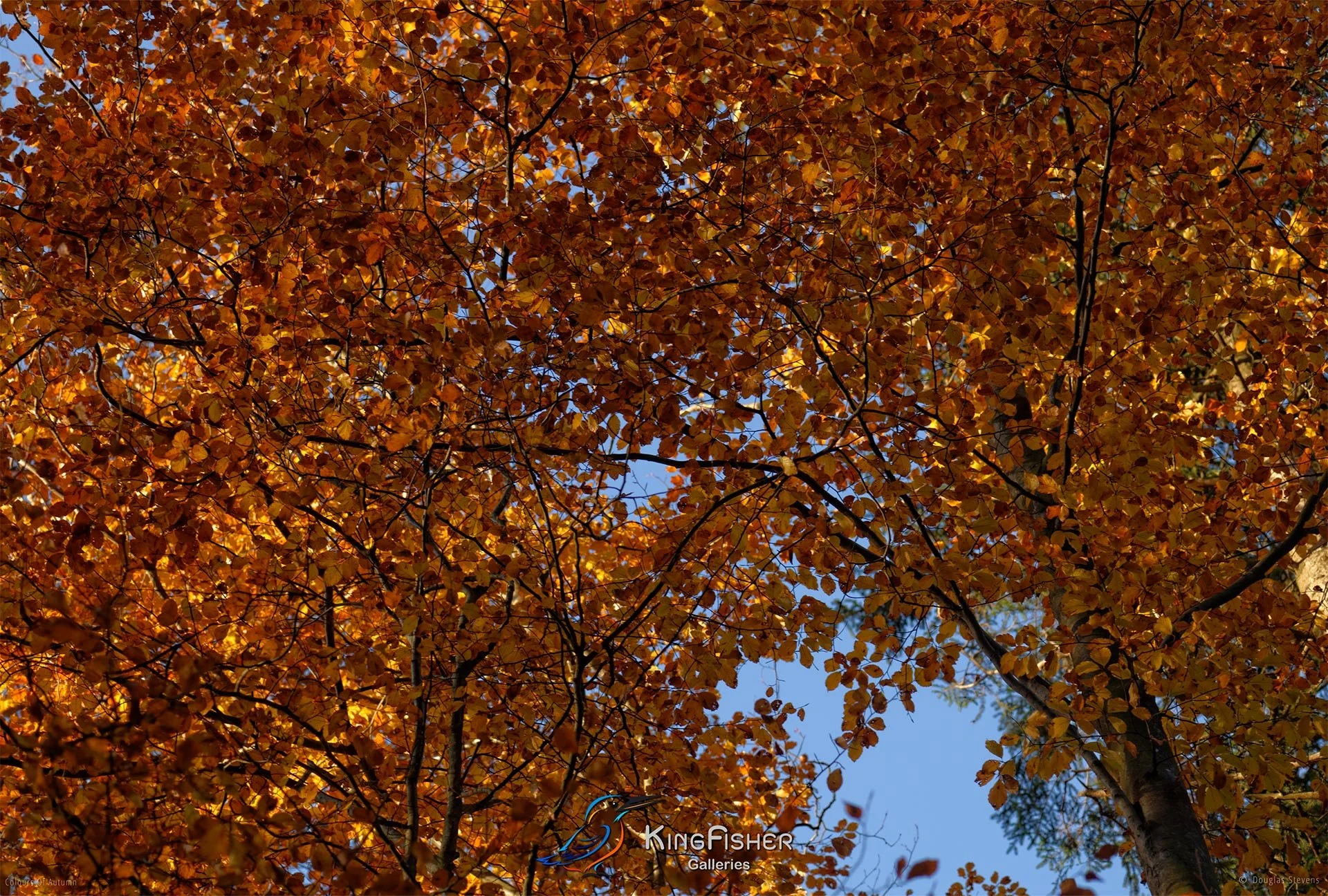 046_DST_Colours_Of_Autumn_L.jpg