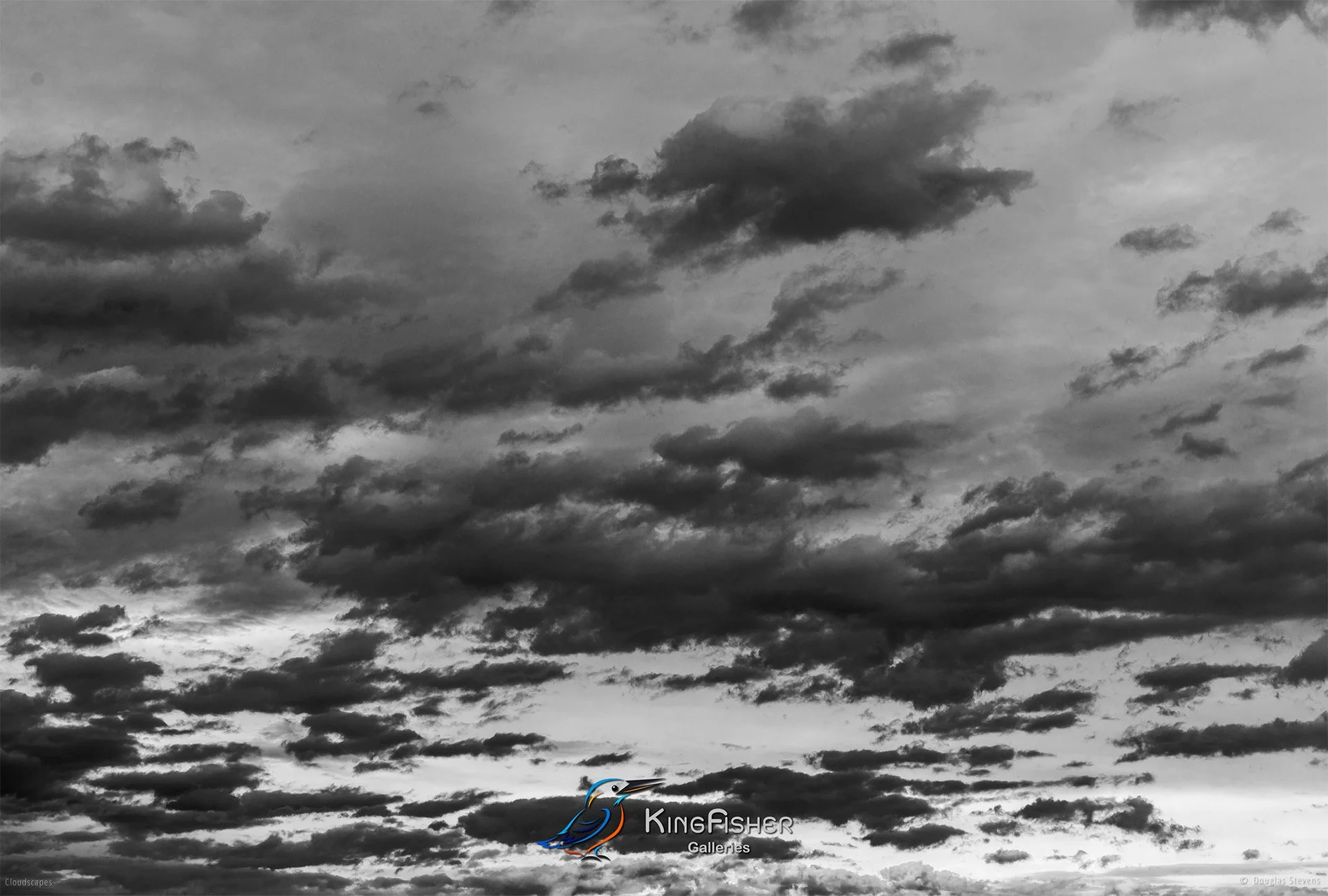 131_DST_Cloudscapes_2016_L_BW.jpg
