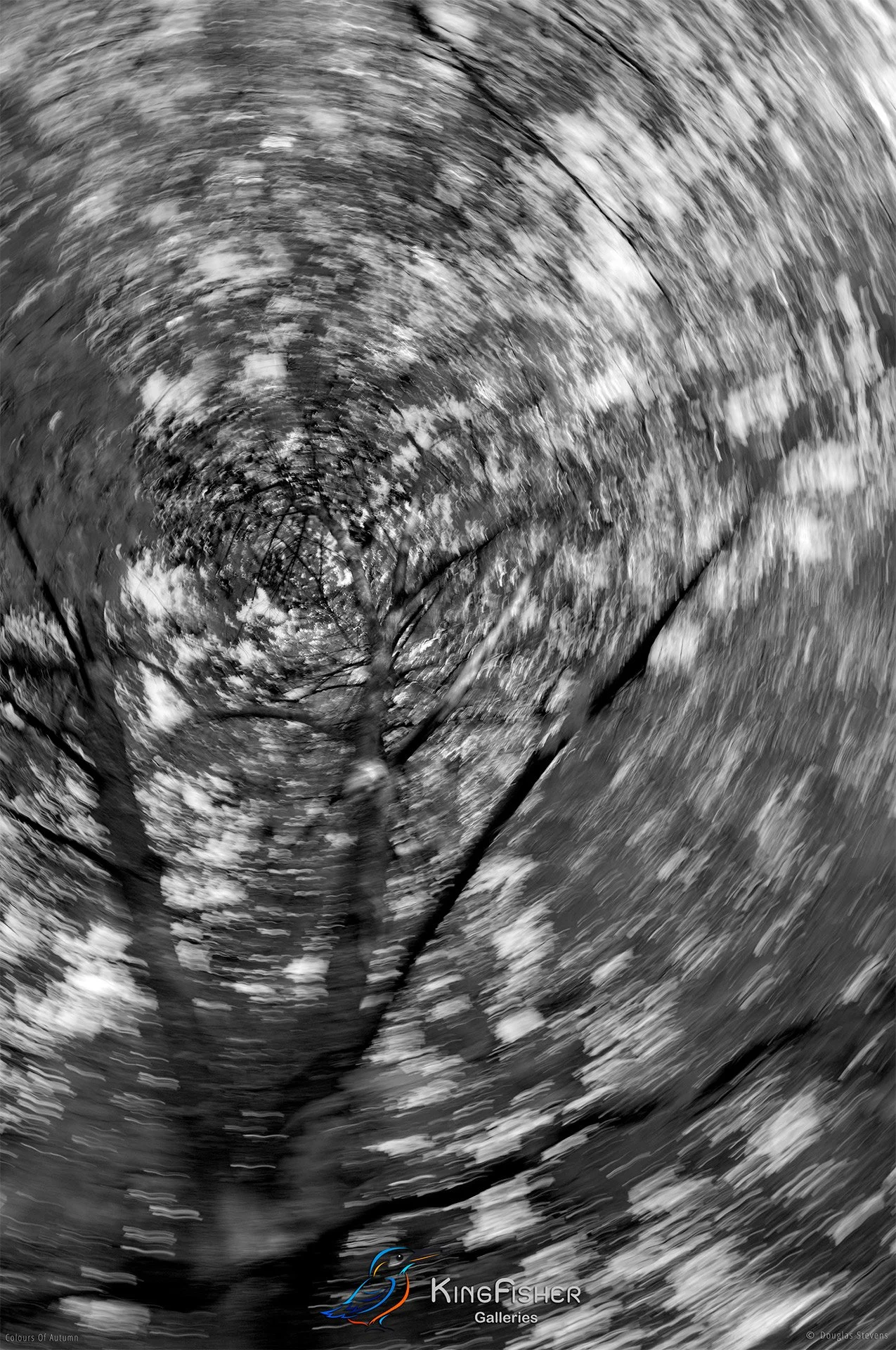 071_DST_Colours_Of_Autumn_P_BW.jpg