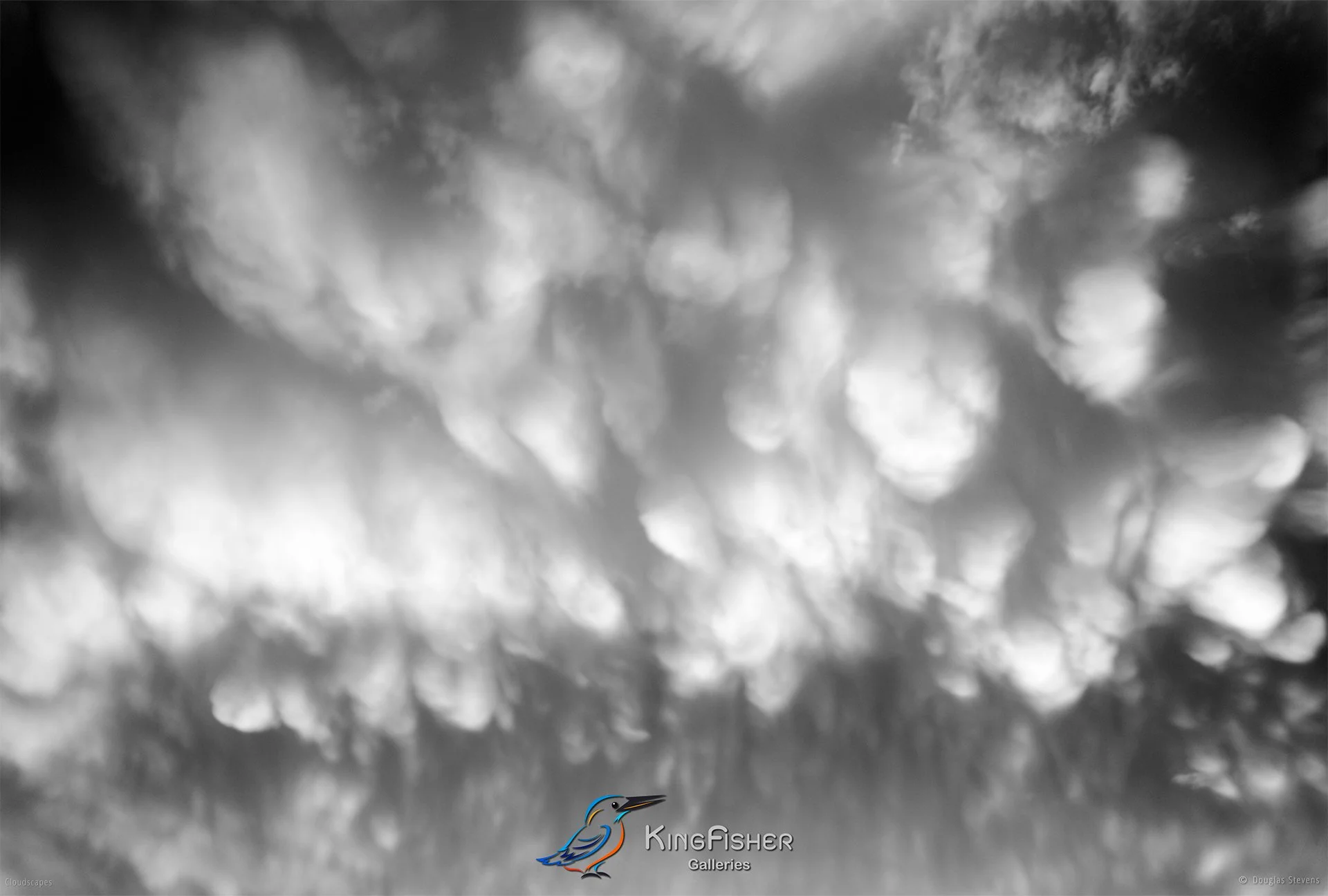039_DST_Cloudscapes_2011_L_BW.jpg