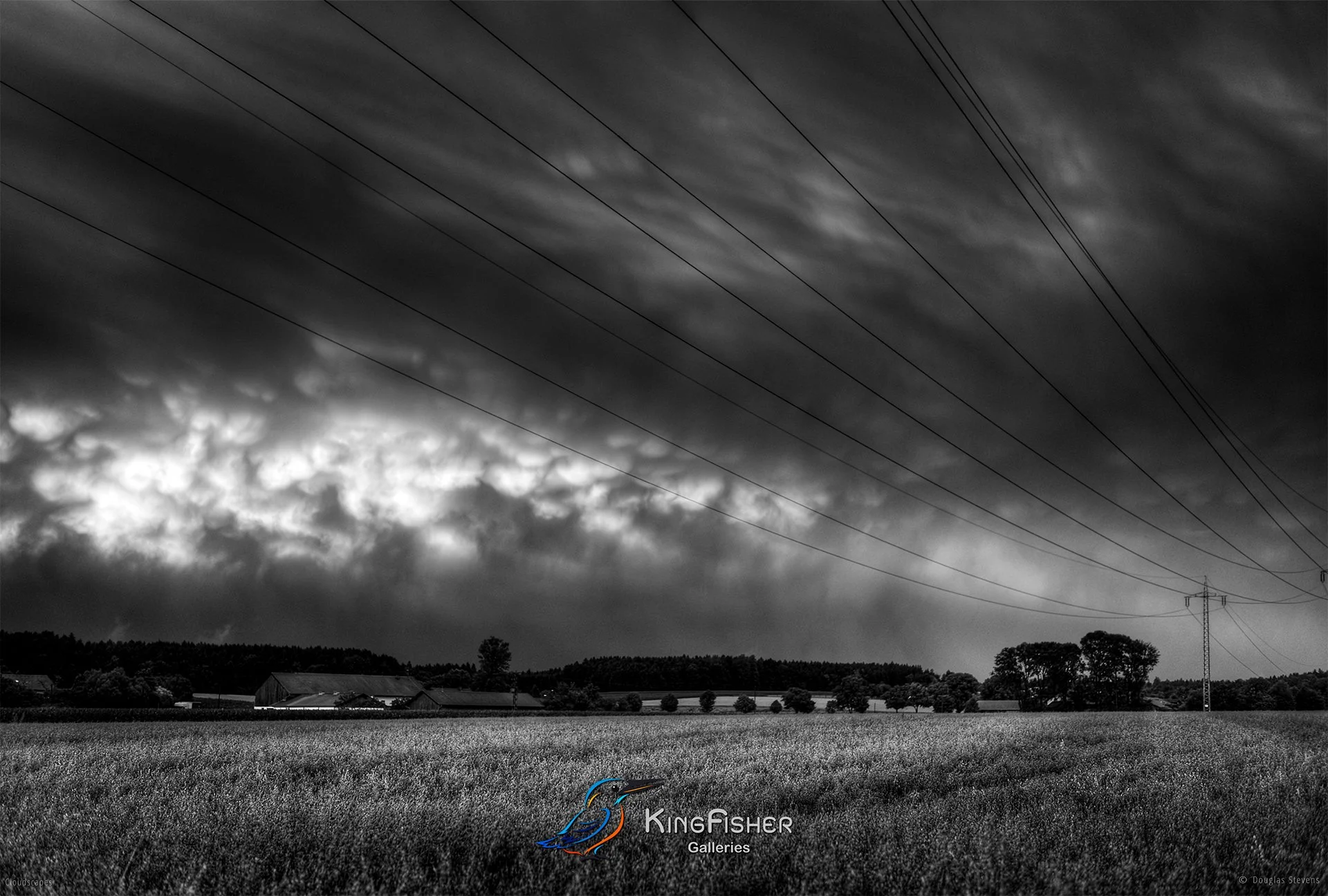 113_DST_Cloudscapes_2015_L_BW.jpg