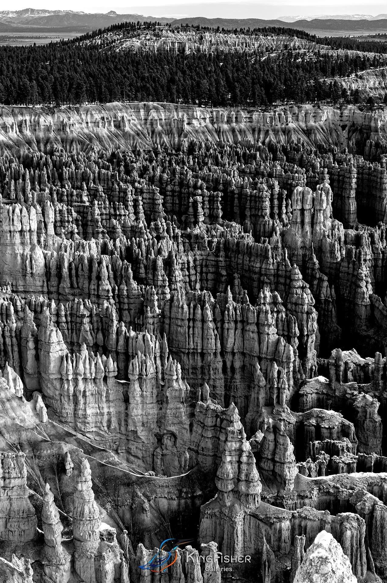 028_DST_Bryce_Canyon_NP_UT_USA_2012_P_BW.jpg