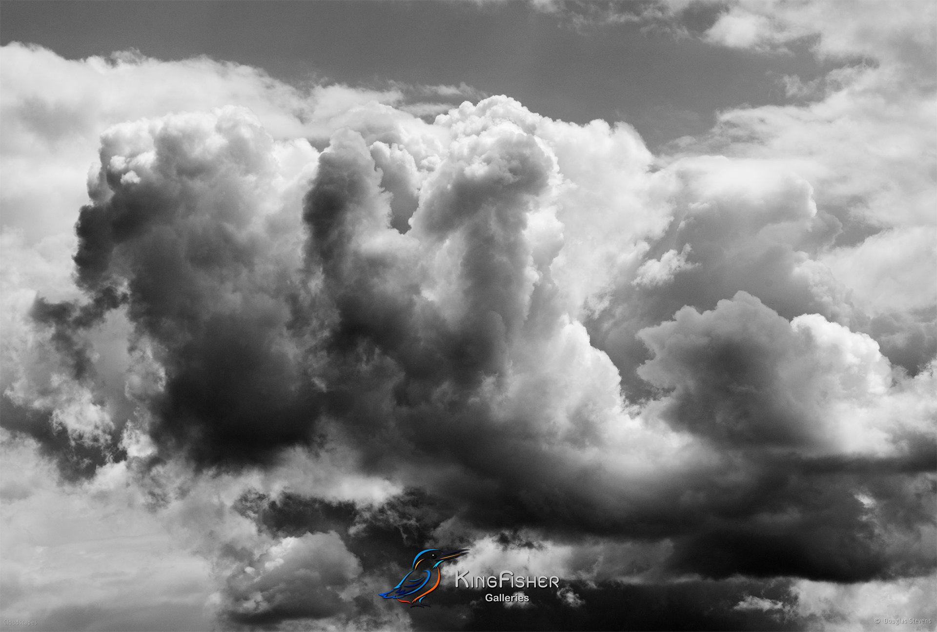 148_DST_Cloudscapes_2016_L_BW.jpg