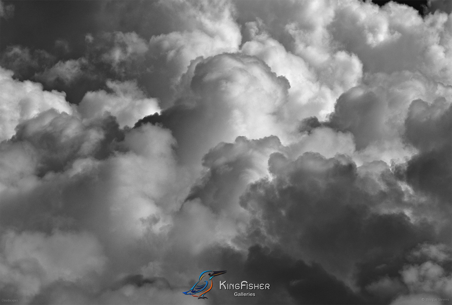007_DST_Cloudscapes_2010_L_BW.jpg