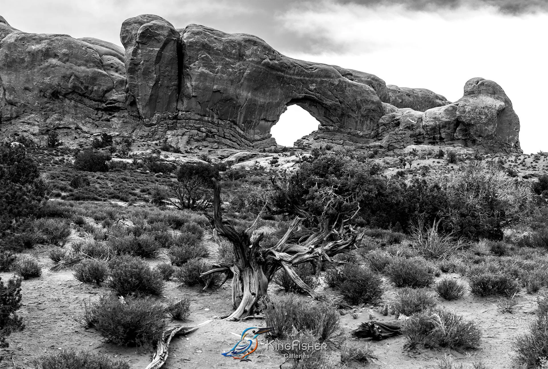 011_DST_Arches_NP_UT_USA_2012_L_BW.jpg