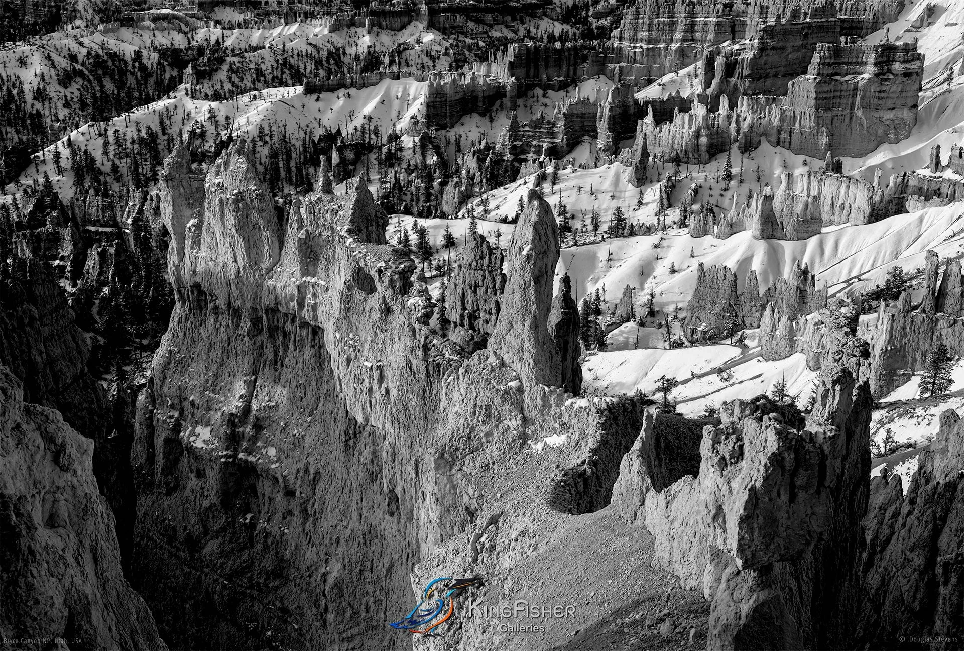 057_DST_Bryce_Canyon_NP_UT_USA_2012_L_BW.jpg