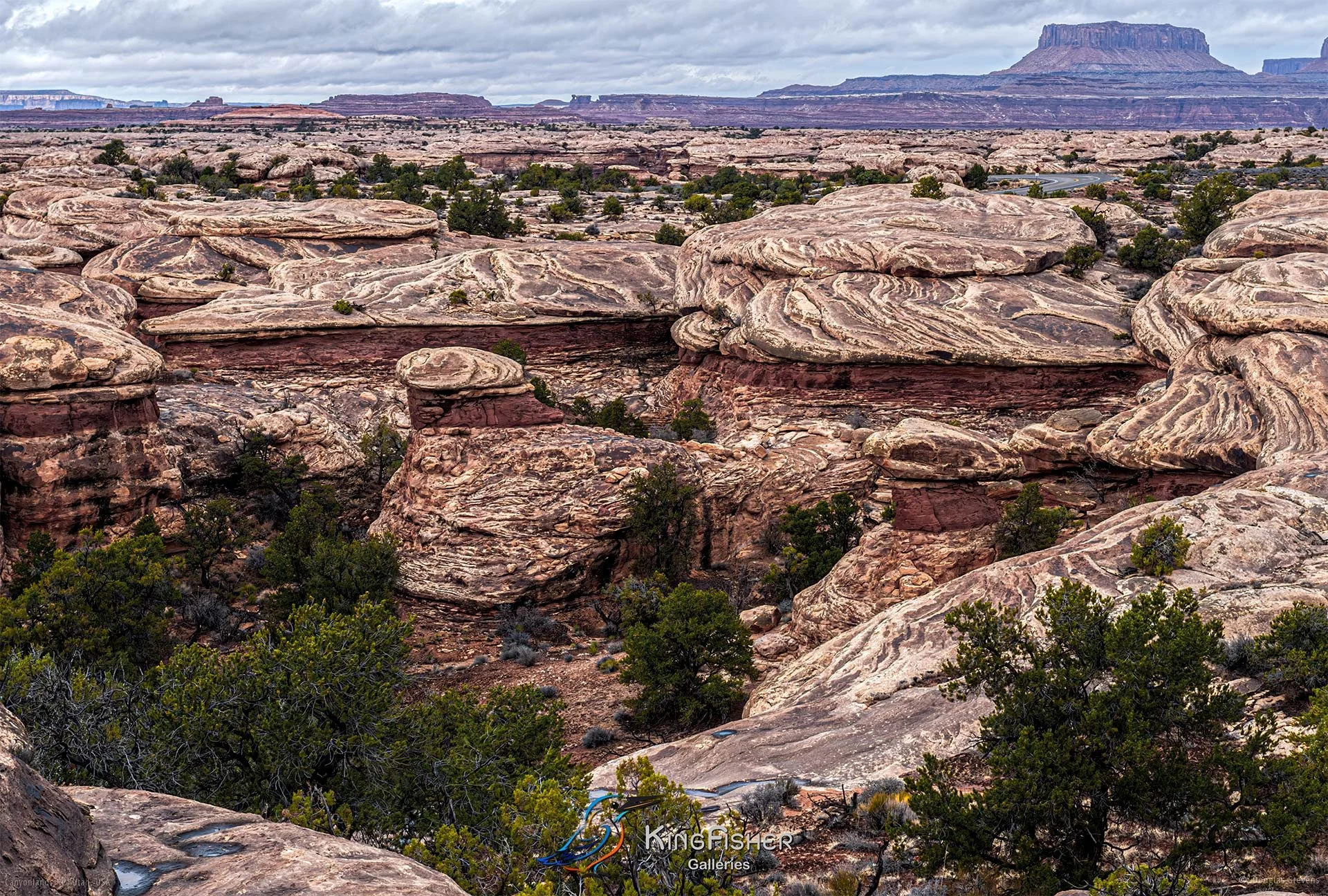103_DST_Canyonlands_NP_UT_USA_2012_L.jpg