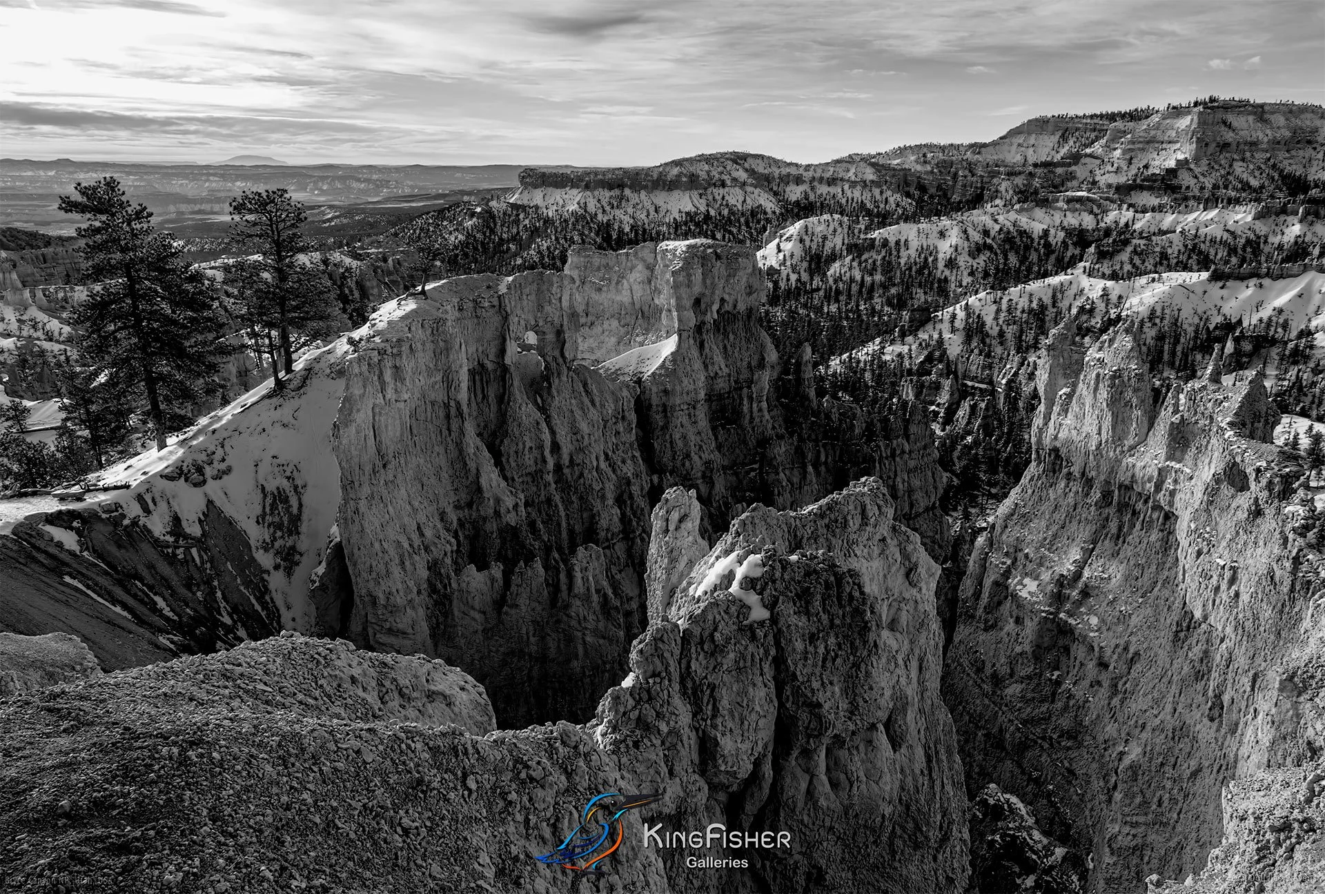 056_DST_Bryce_Canyon_NP_UT_USA_2012_L_BW.jpg
