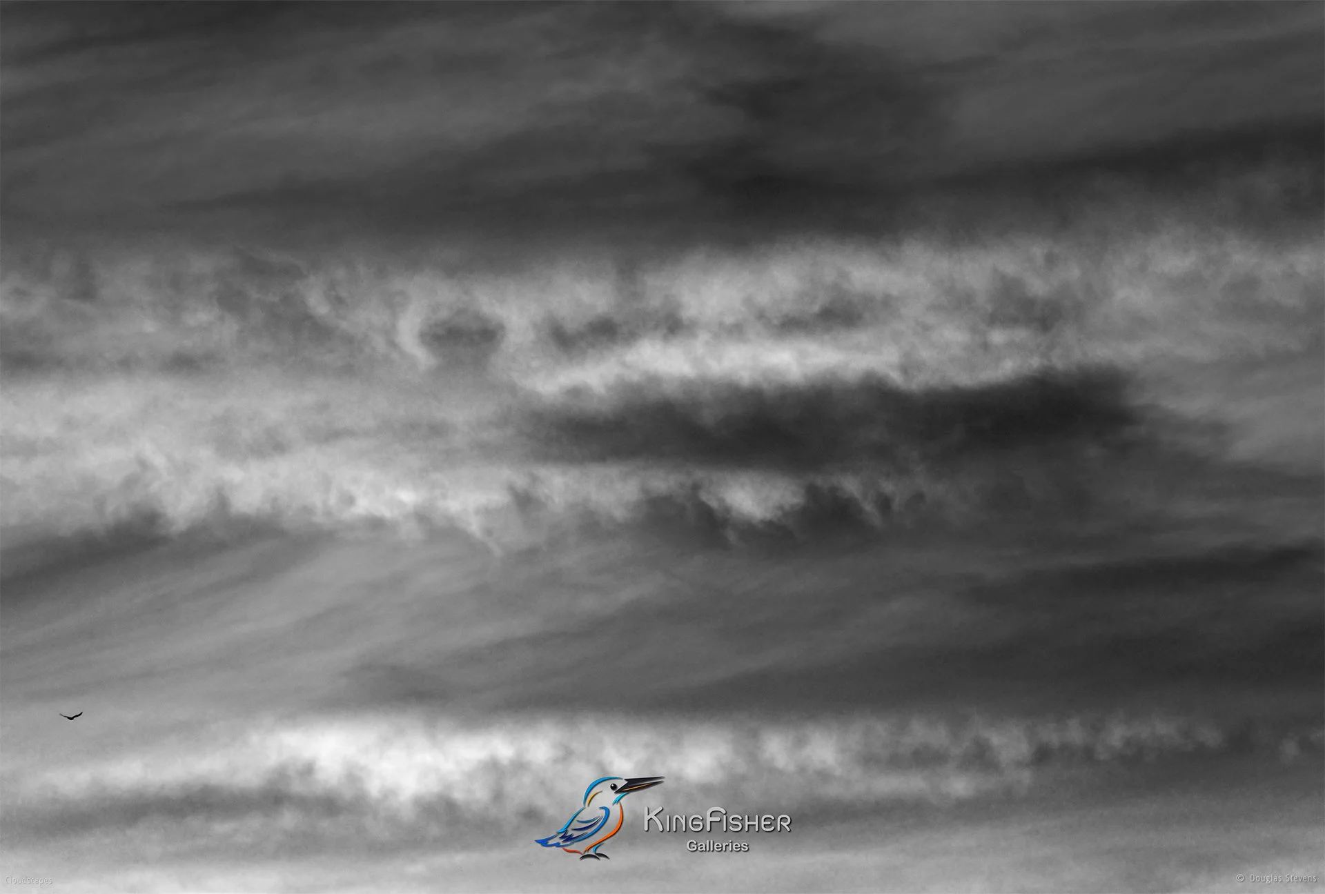 111_DST_Cloudscapes_2015_L_BW.jpg