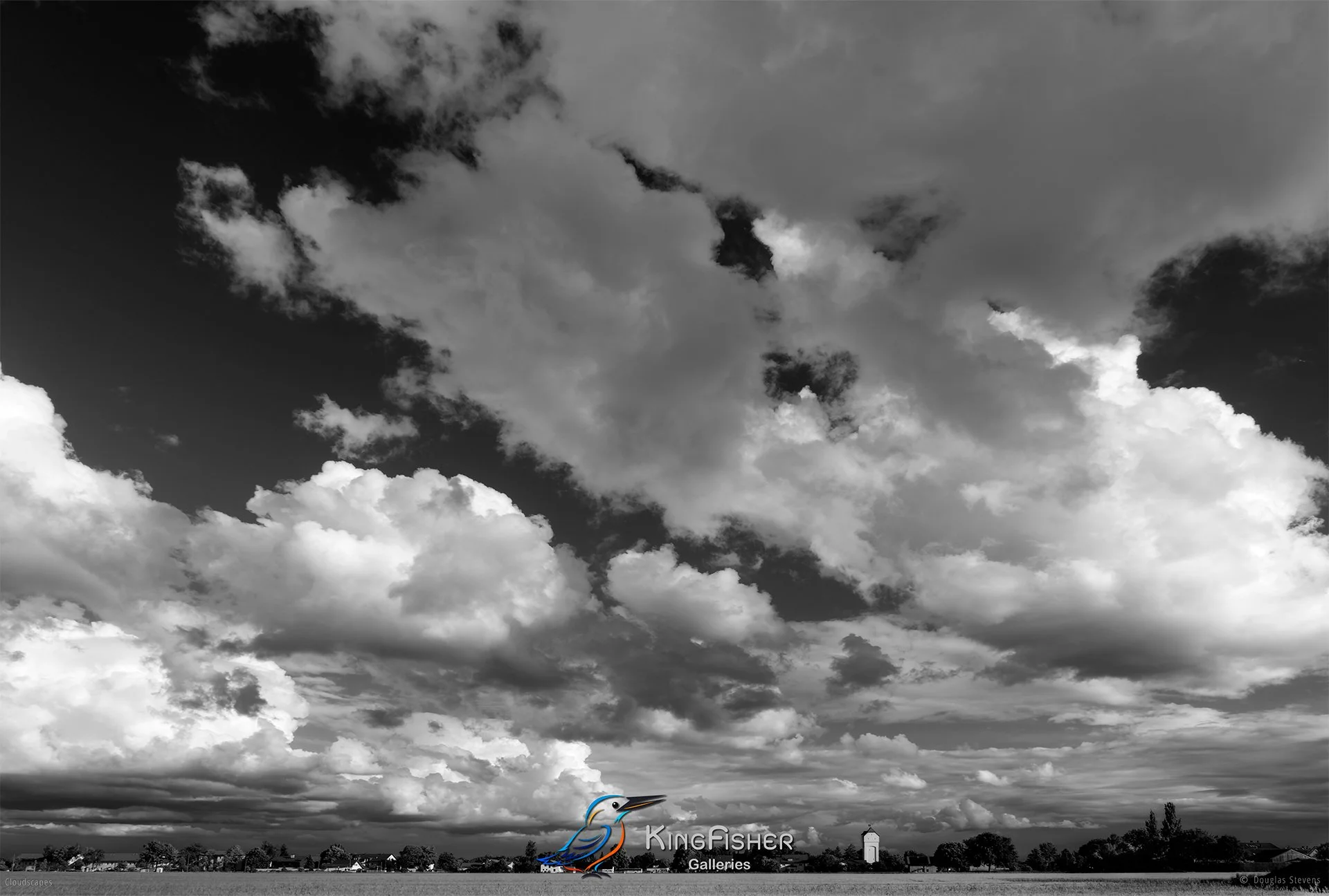 069_DST_Cloudscapes_2012_L_BW.jpg