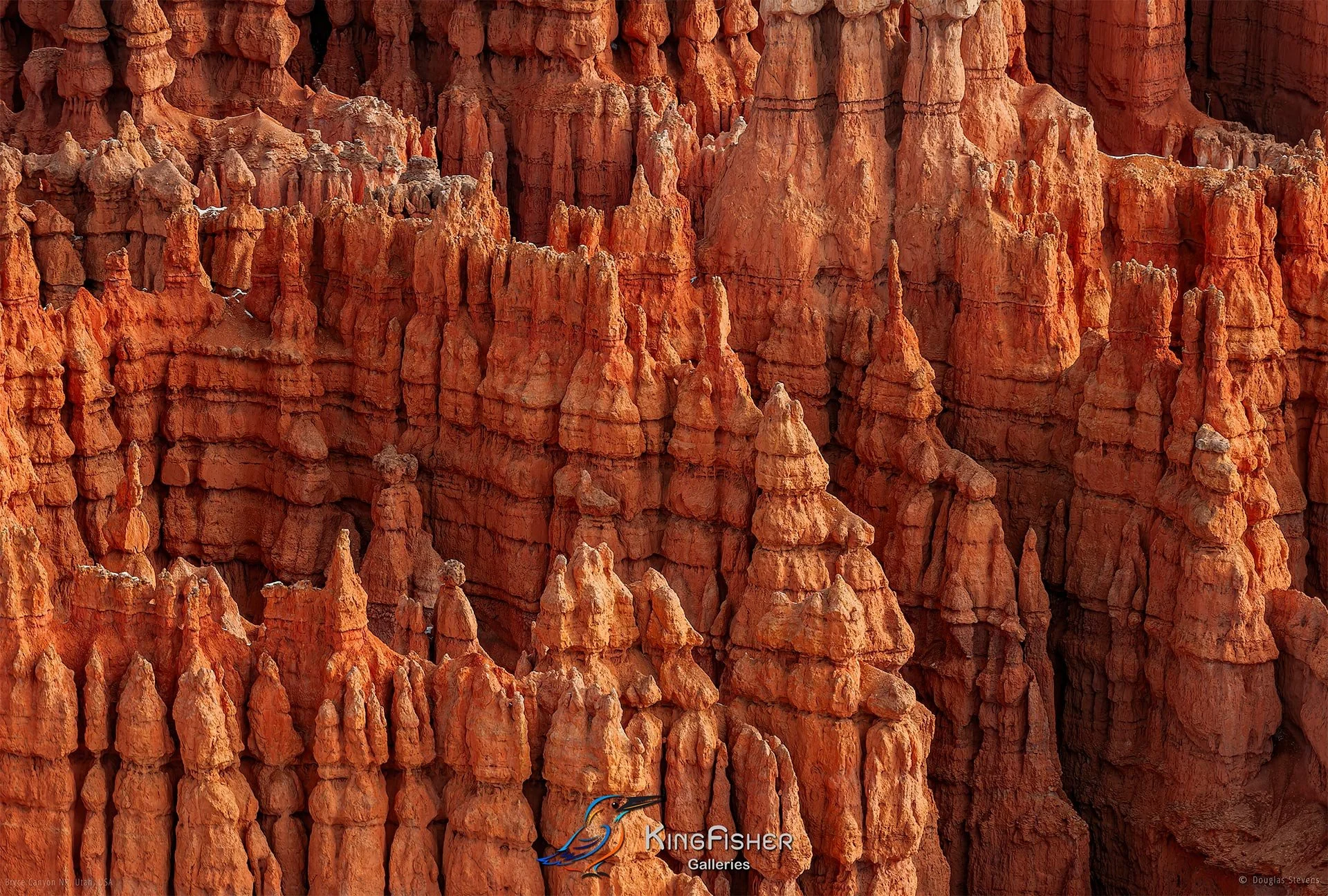 014_DST_Bryce_Canyon_NP_UT_USA_2012_L.jpg